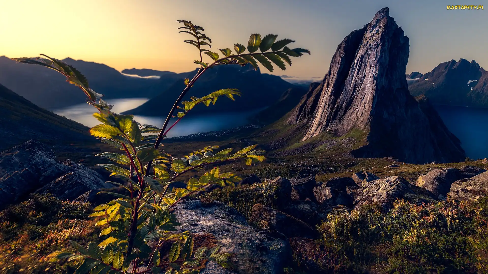 Wschód słońca, Wyspa Senja, Góry, Norwegia, Góra Segla, Morze, Skały, Roślina, Wyspa Senja