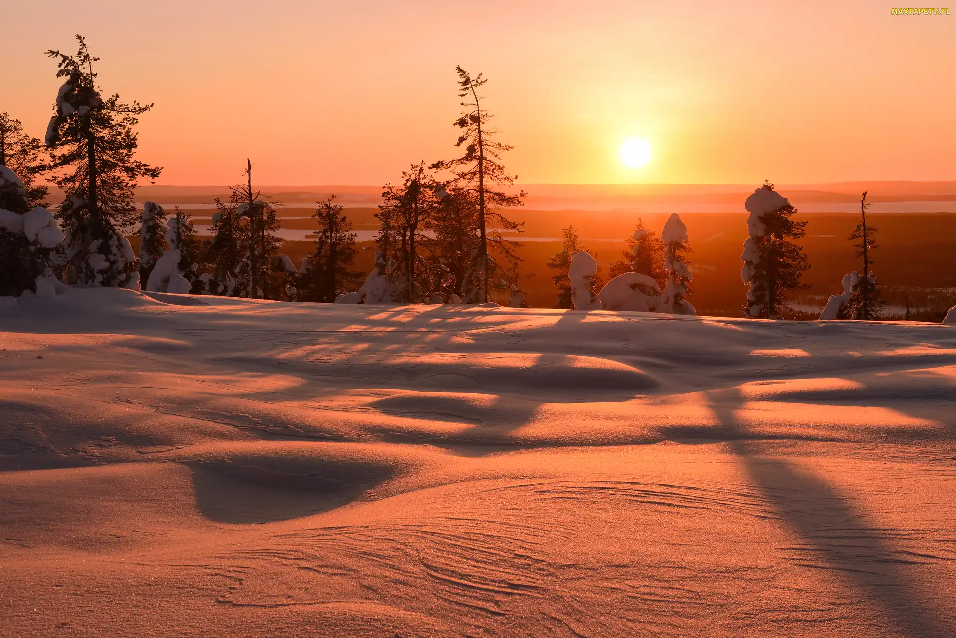 Zima, Finlandia, Drzewa, Śnieg, Wschód słońca