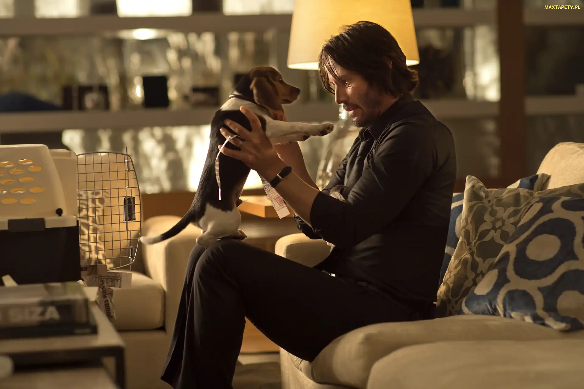 Szczeniak, Pies, John Wick, Film, Aktor, Keanu Reeves