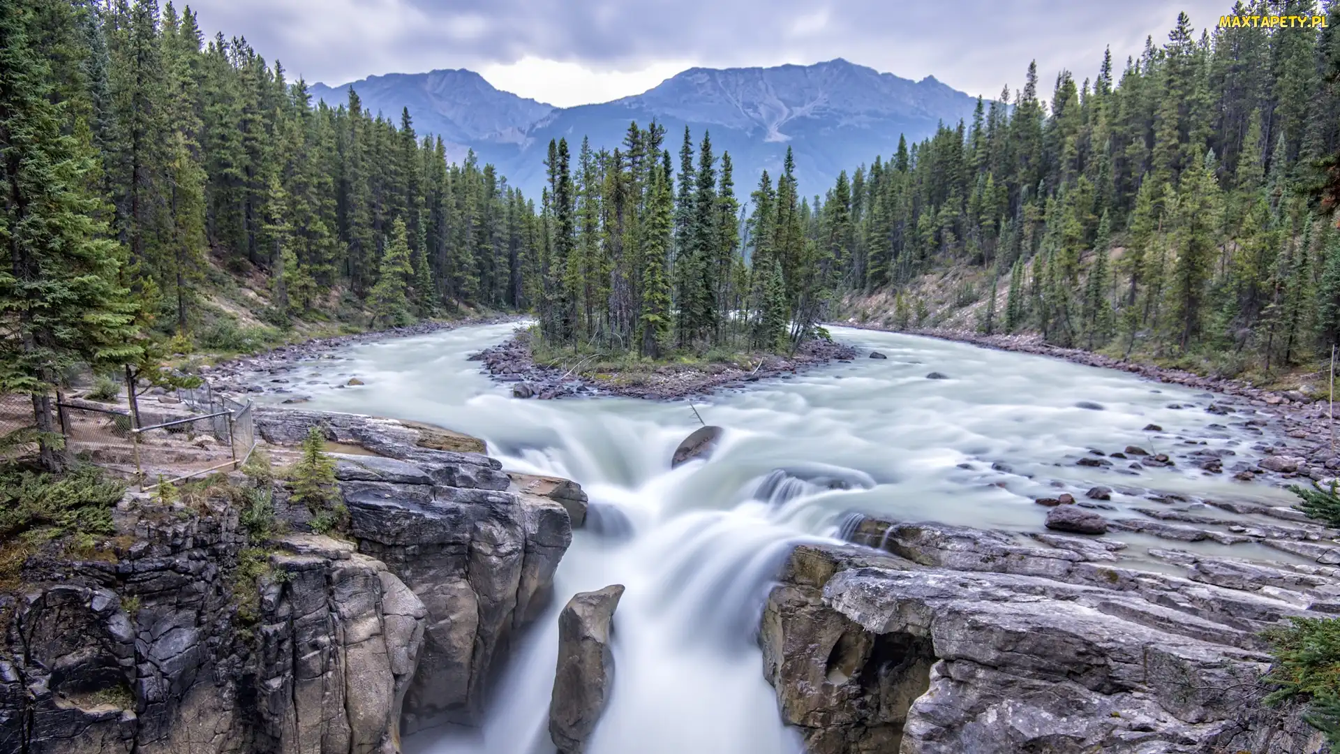 Prowincja Alberta, Drzewa, Rzeka Sunwapta, Kanada, Góry, Wodospad Sunwapta Falls, Park Narodowy Jasper