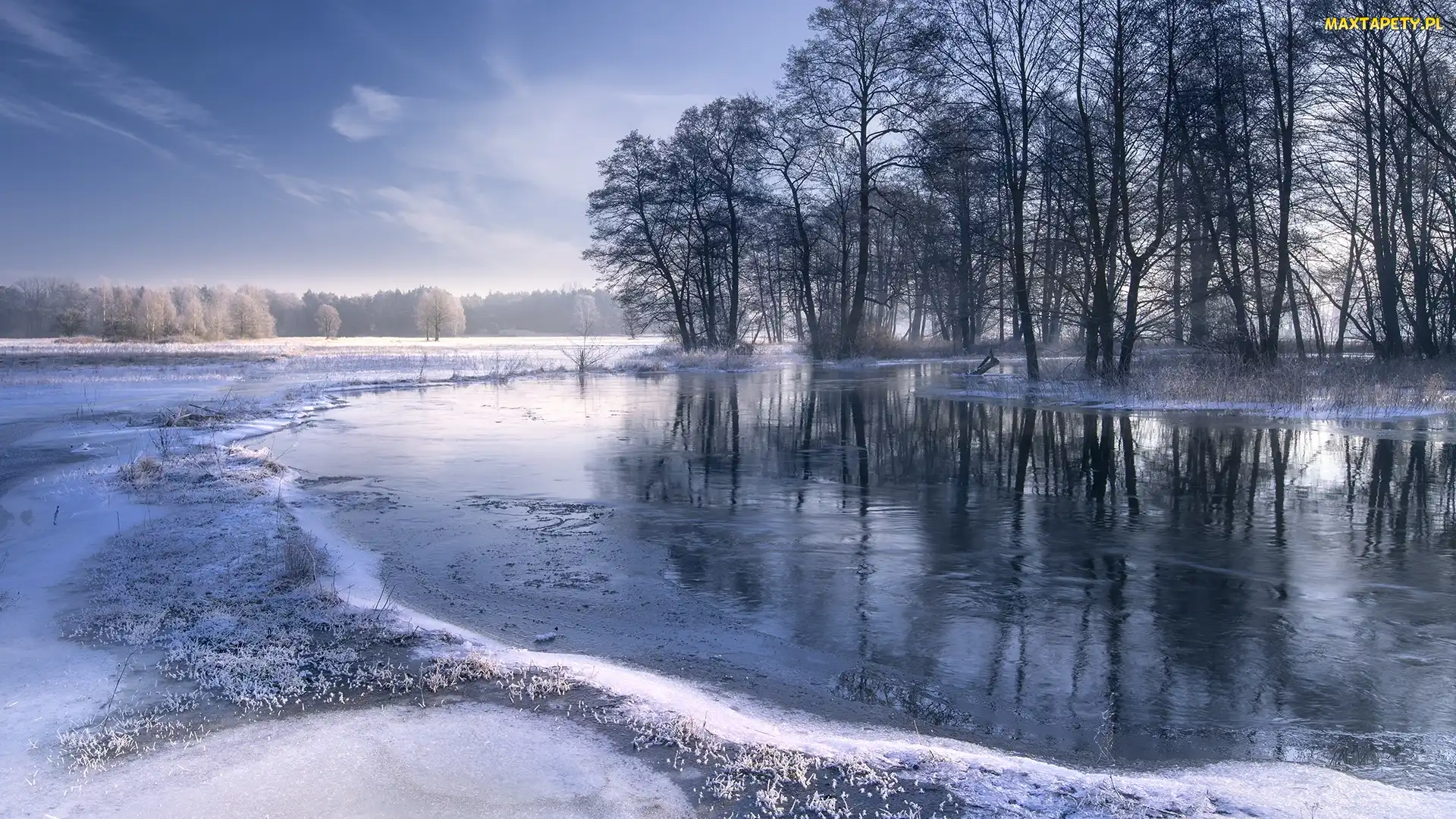 Śnieg, Drzewa, Rzeka, Zima