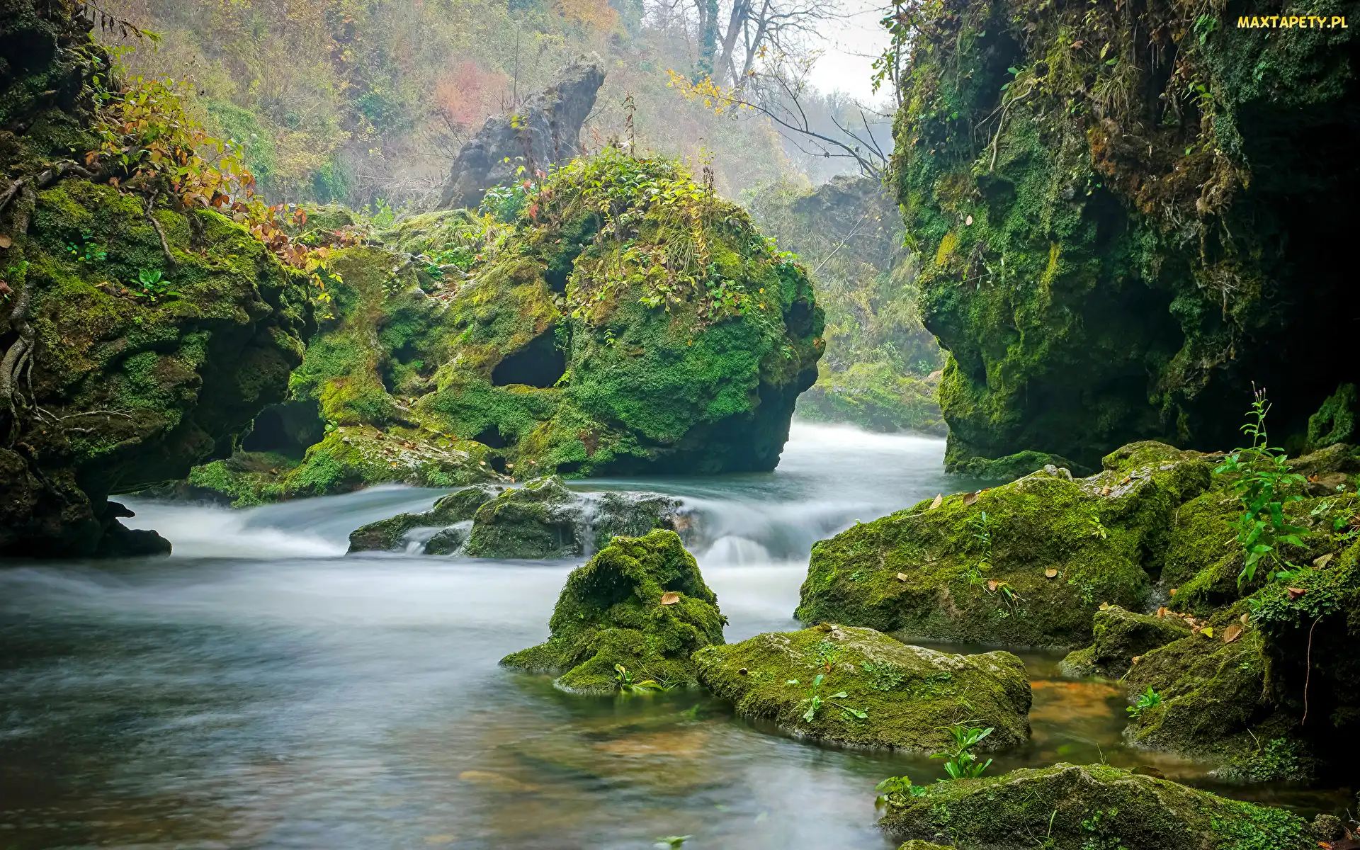 Góry, Kamienie, Rzeka Korana, Roślinność, Skały, Chorwacja, Omszałe