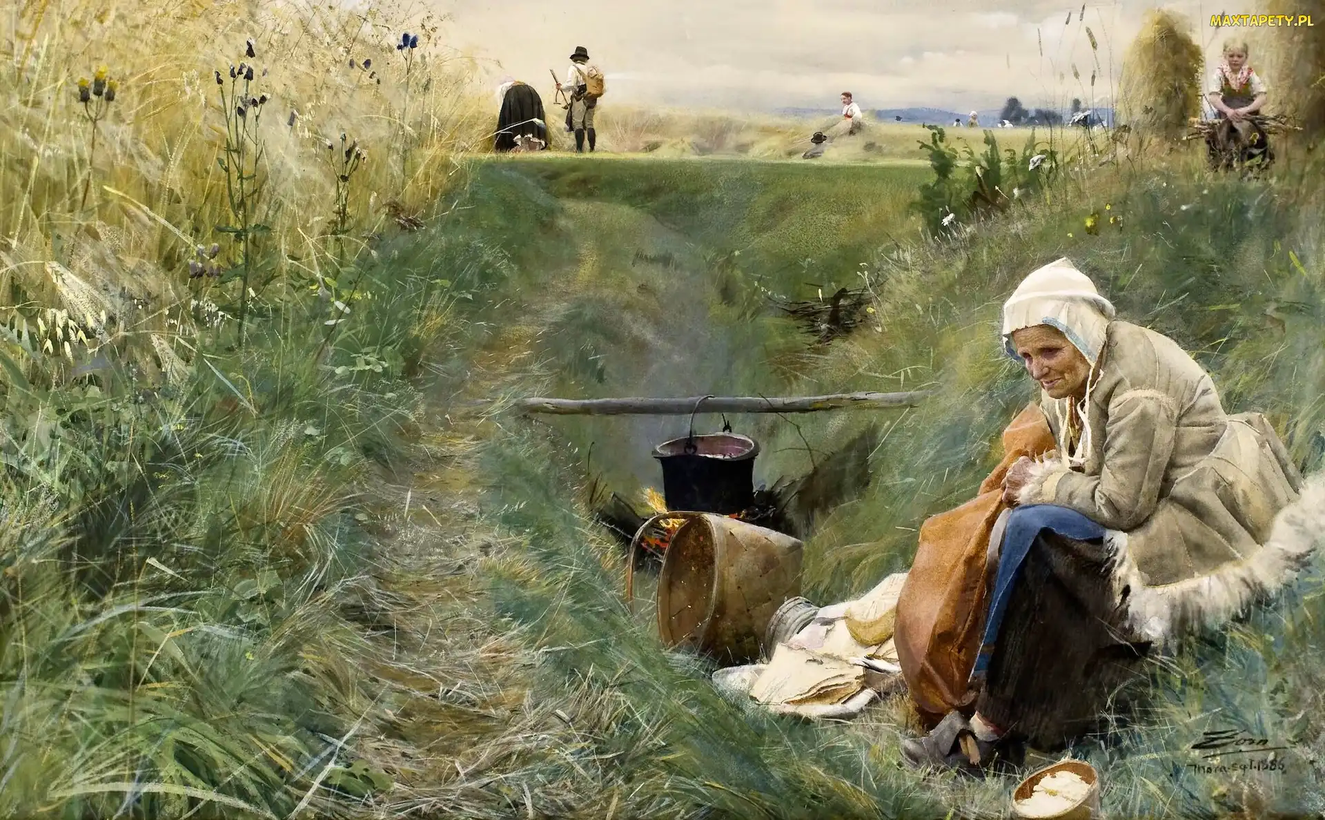 Pole, Ognisko, Obraz, Malarstwo, Anders Zorn, Kobieta
