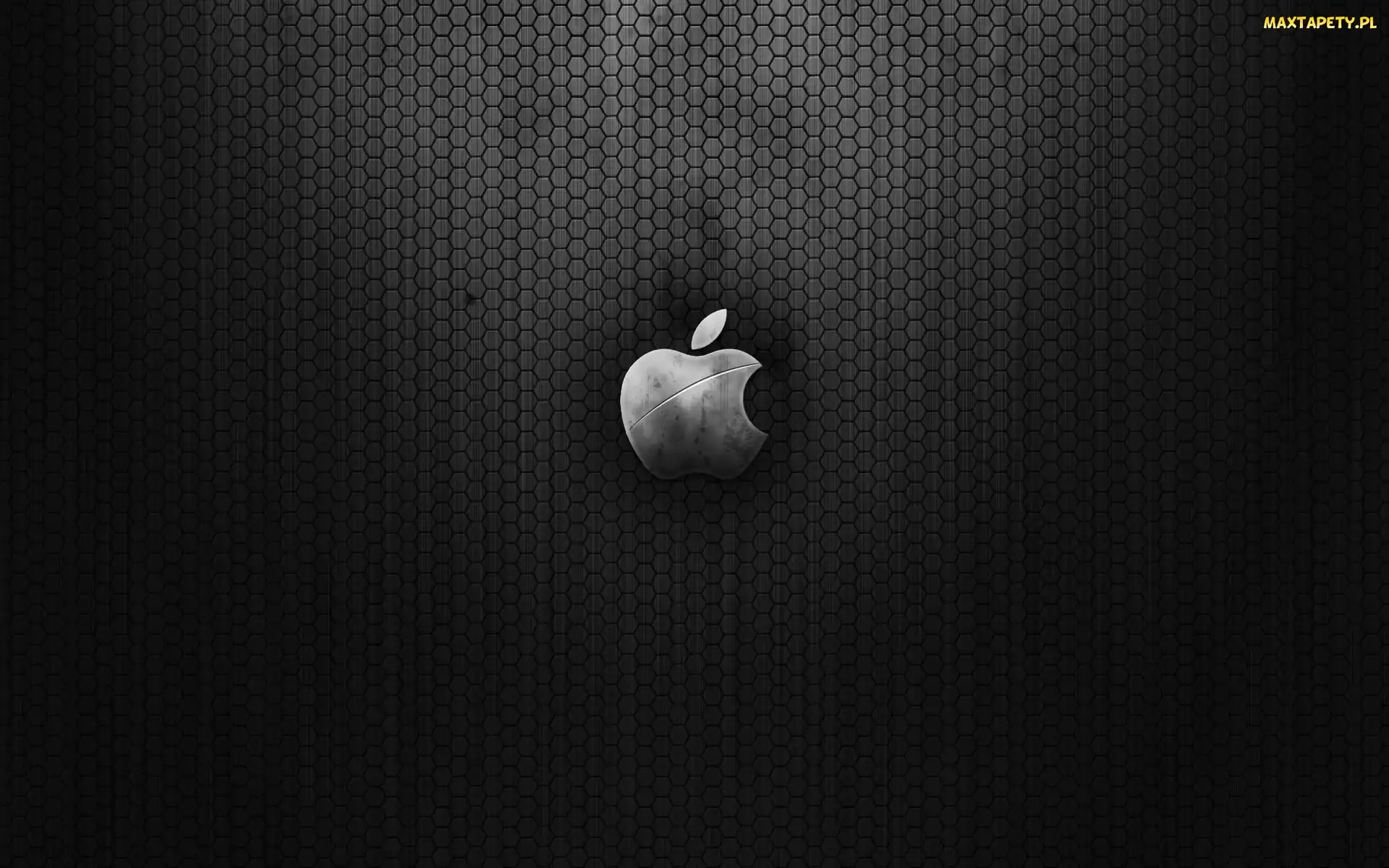 Logo, Szare, Apple