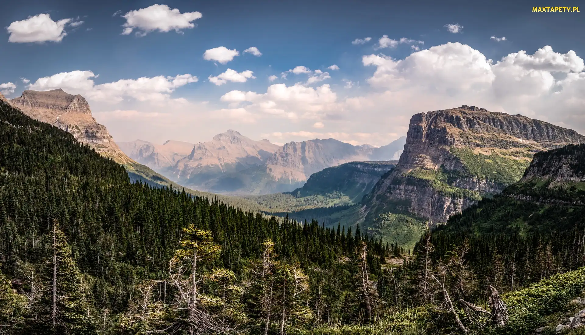 Stany Zjednoczone, Montana, Góry Skaliste, Park Narodowy Glacier, Las, Chmury