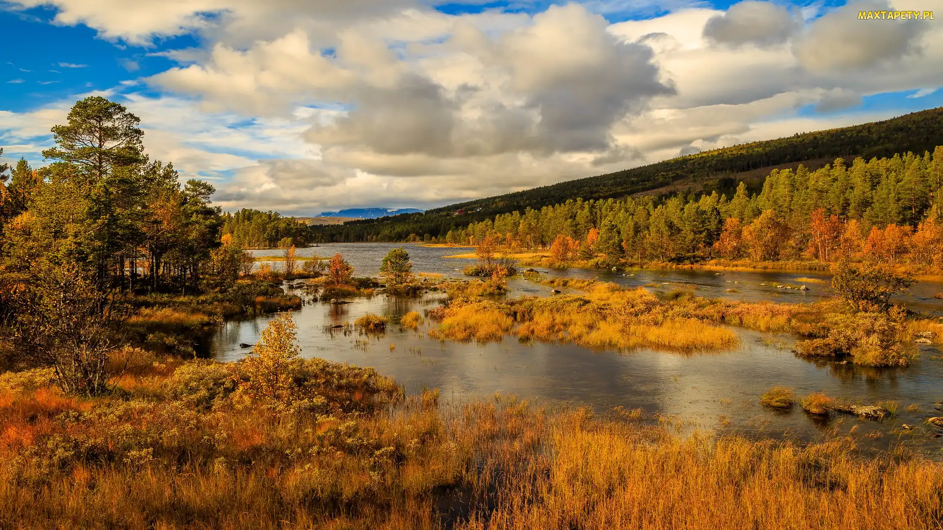 Jesień, Jezioro, Norwegia, Lasy, Park Narodowy Hardangervidda, Drzewa