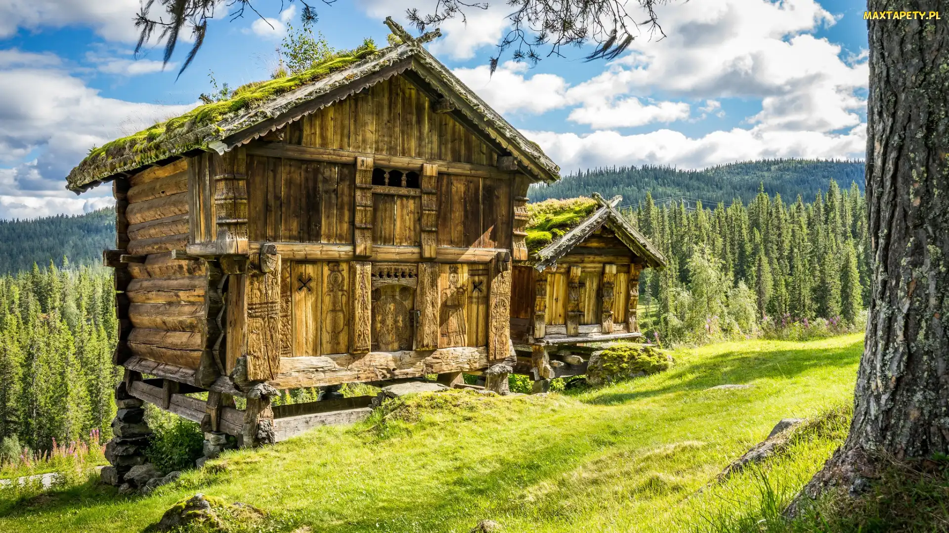 Domki, Drzewa, Drewniane