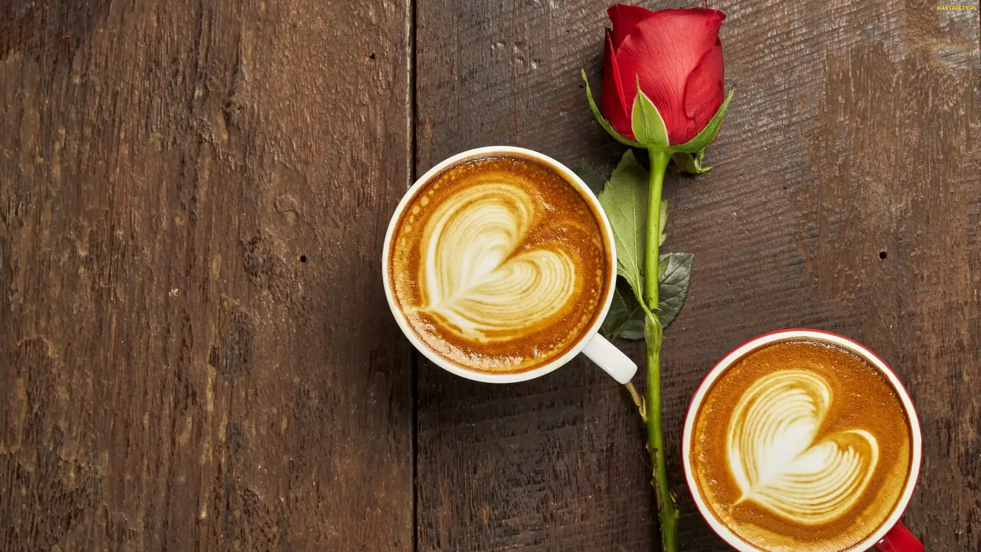 Róża, Deski, Cappuccino, Kawy, Czerwona