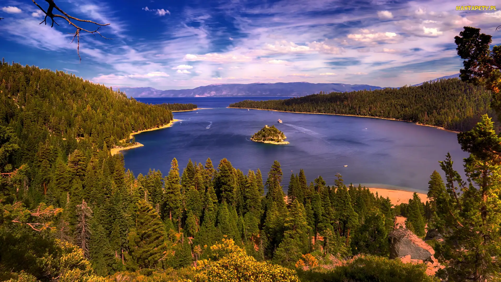 Kalifornia, Drzewa, Wyspa Fannette, Stany Zjednoczone, Lasy, Jezioro Tahoe, Park Emerald Bay