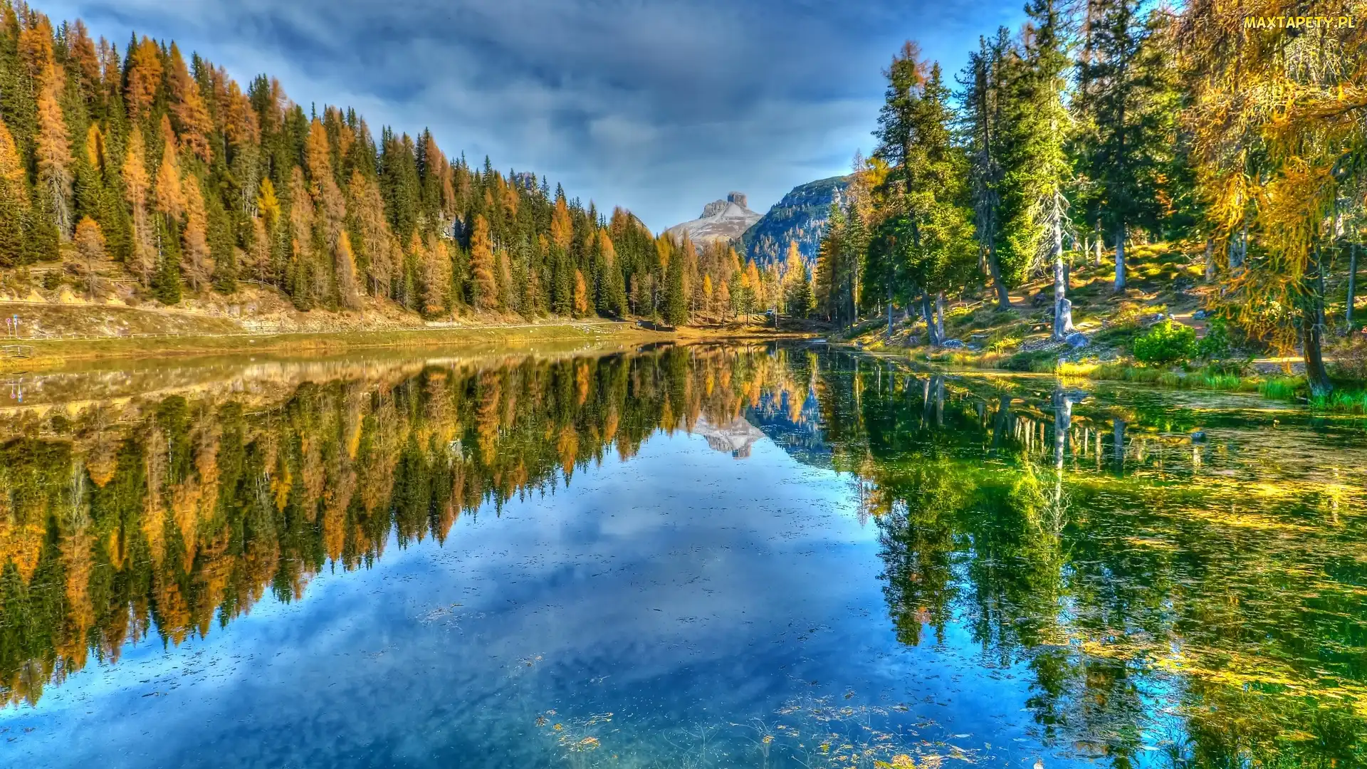Prowincja Belluno, Drzewa, Góry Dolomity, Włochy, Las, Jezioro Antorno Lake, Jesień