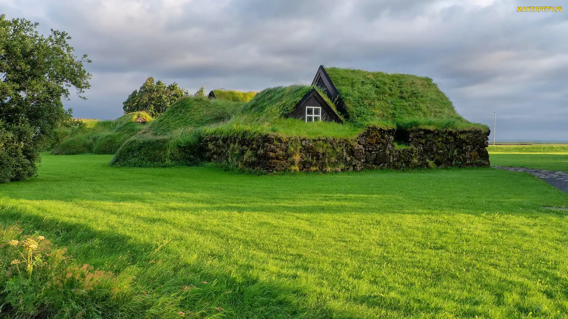 Wieś, Trawa, Kamienie, Dom, Islandia