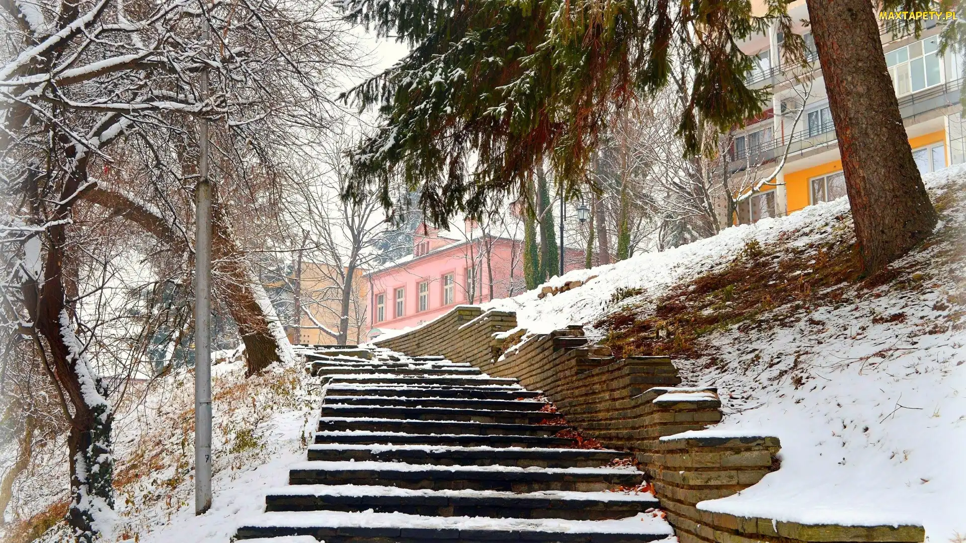 Drzewa, Domy, Śnieg, Latarnia, Schody, Zima, Park