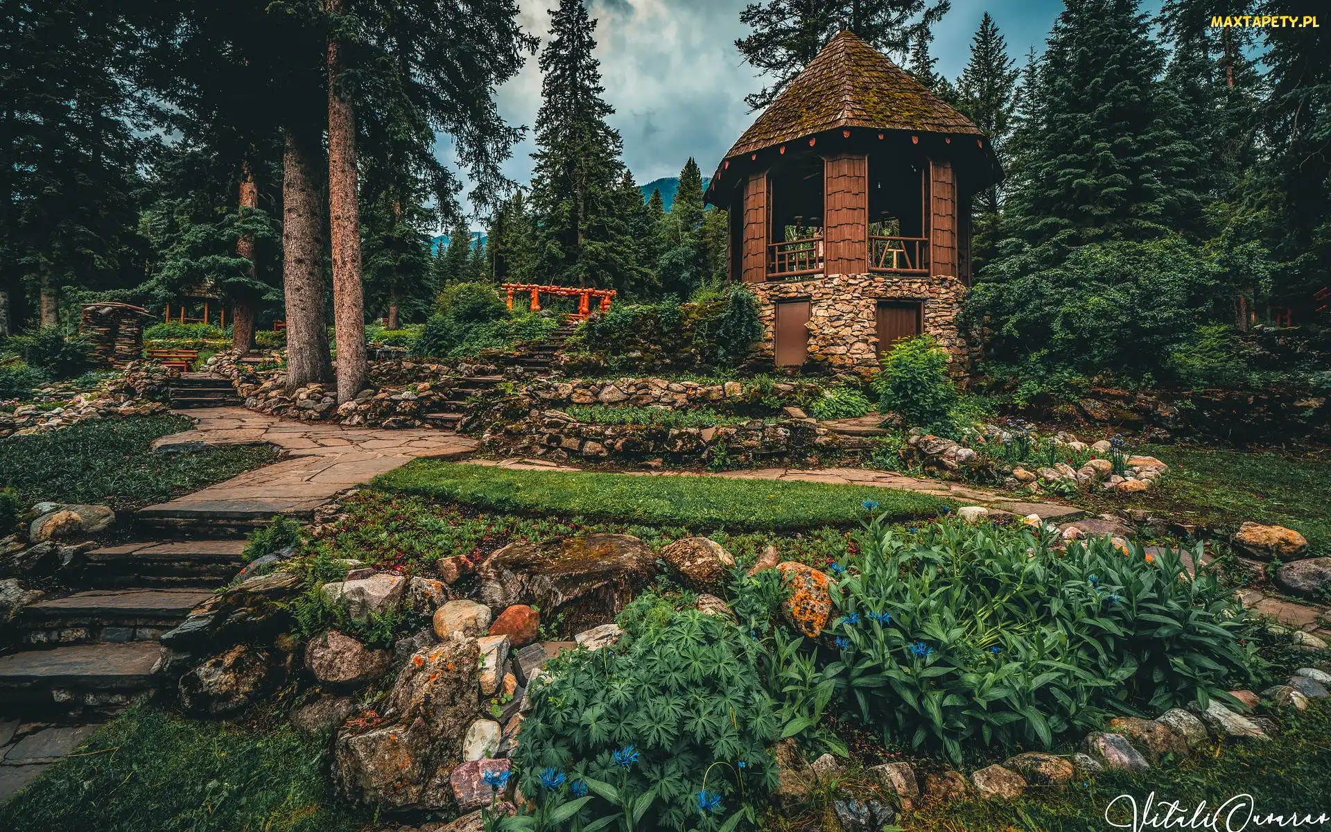 Schodki, Altana, Park, Kanada, Park Narodowy Banff, Rośliny, Alberta, Drzewa