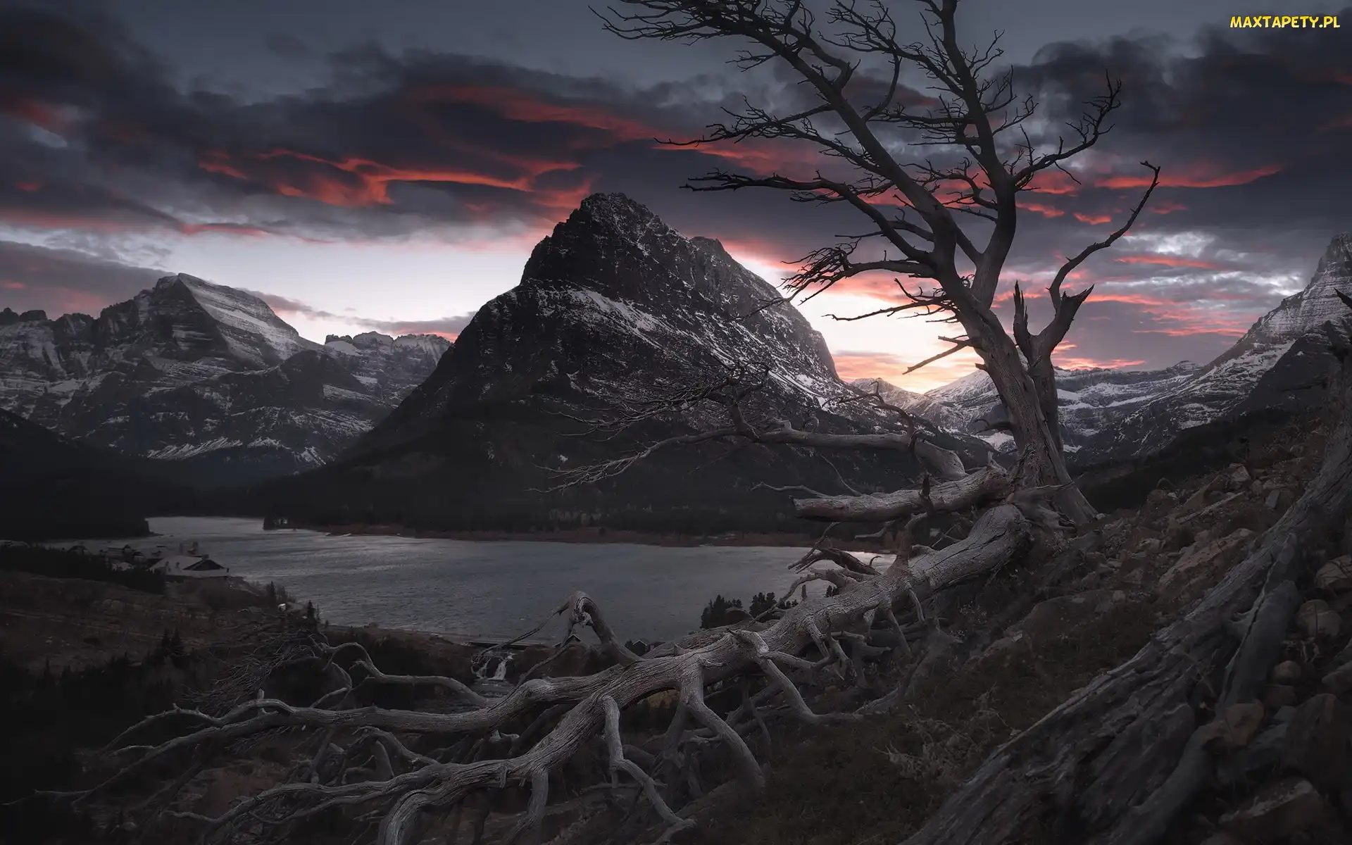 Stany Zjednoczone, Zachód słońca, Drzewo, Montana, Góry, Swiftcurrent Lake, Park Narodowy Glacier, Bezlistne, Jezioro, Powalone