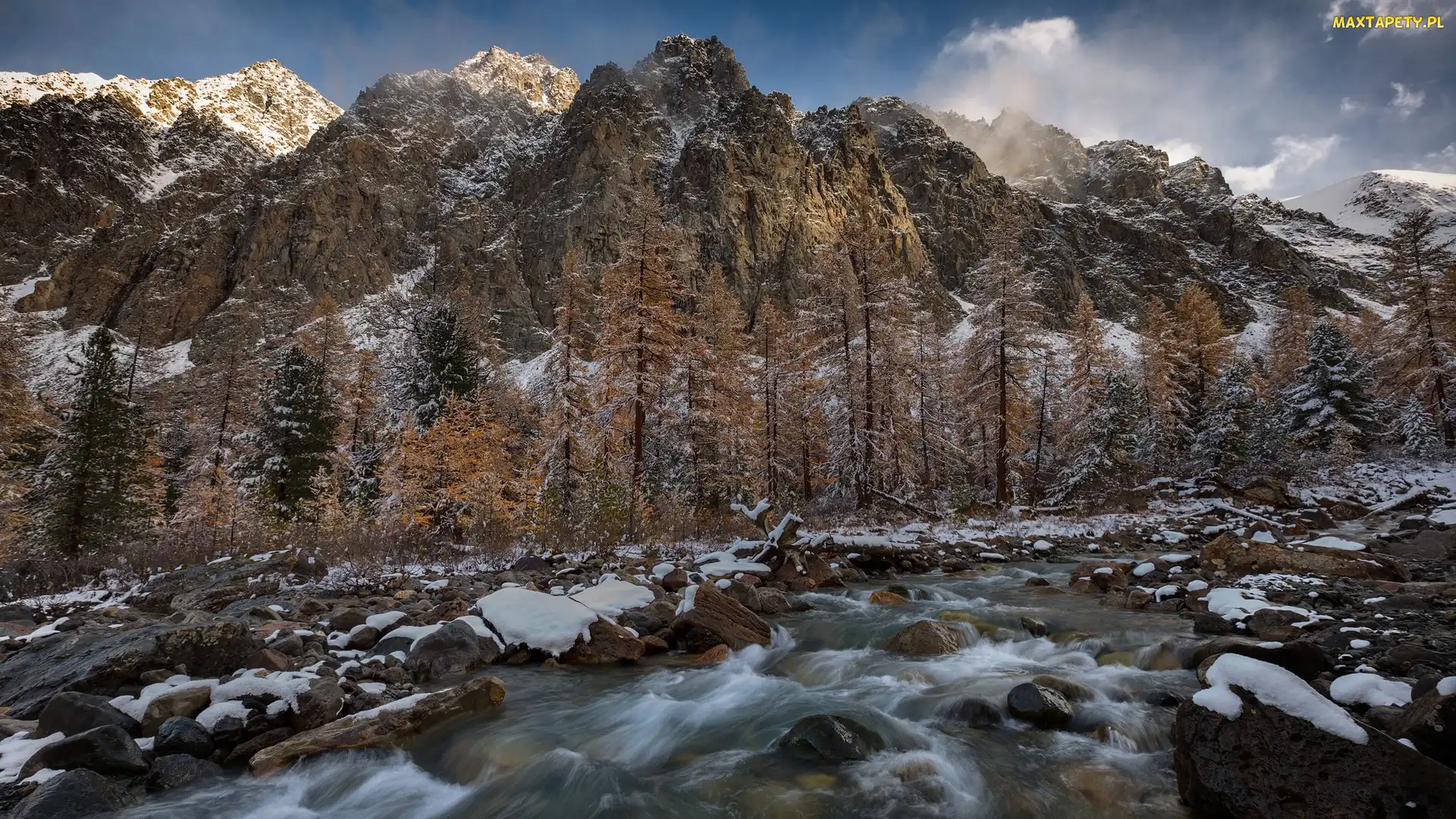 Drzewa, Śnieg, Strumyk, Kamienie, Góry
