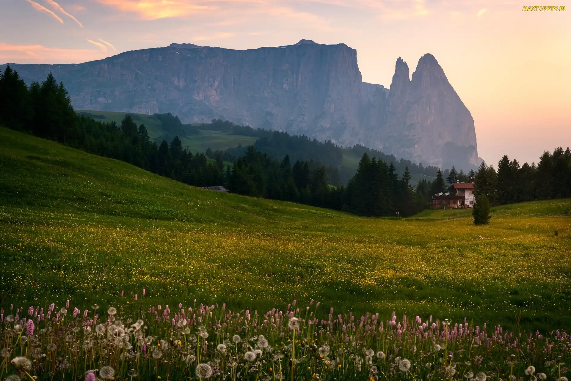 Łąka, Drzewa, Góry, Dom, Góra Schlern, Włochy, Dolomity