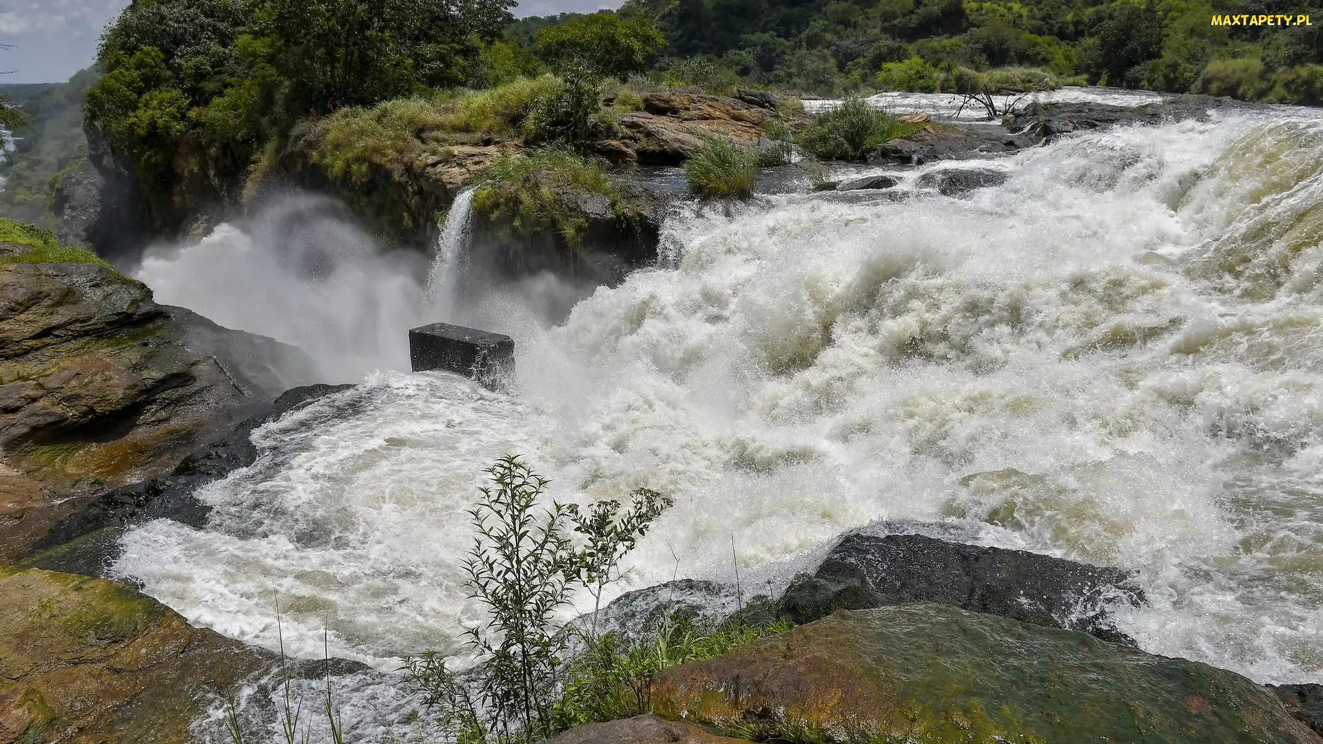 Nil Wiktorii, Murchison Falls, Wodospad, Afryka, Park Narodowy Wodospadu Murchisona, Kamienie, Uganda, Rzeka