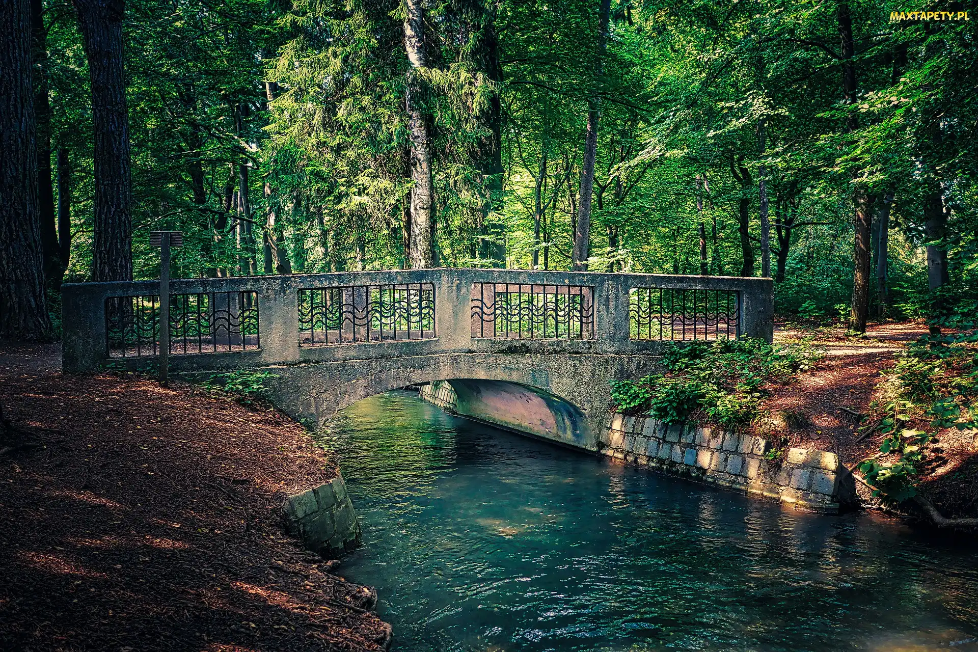 Rzeka, Park, Most, Drzewa, Kamienny
