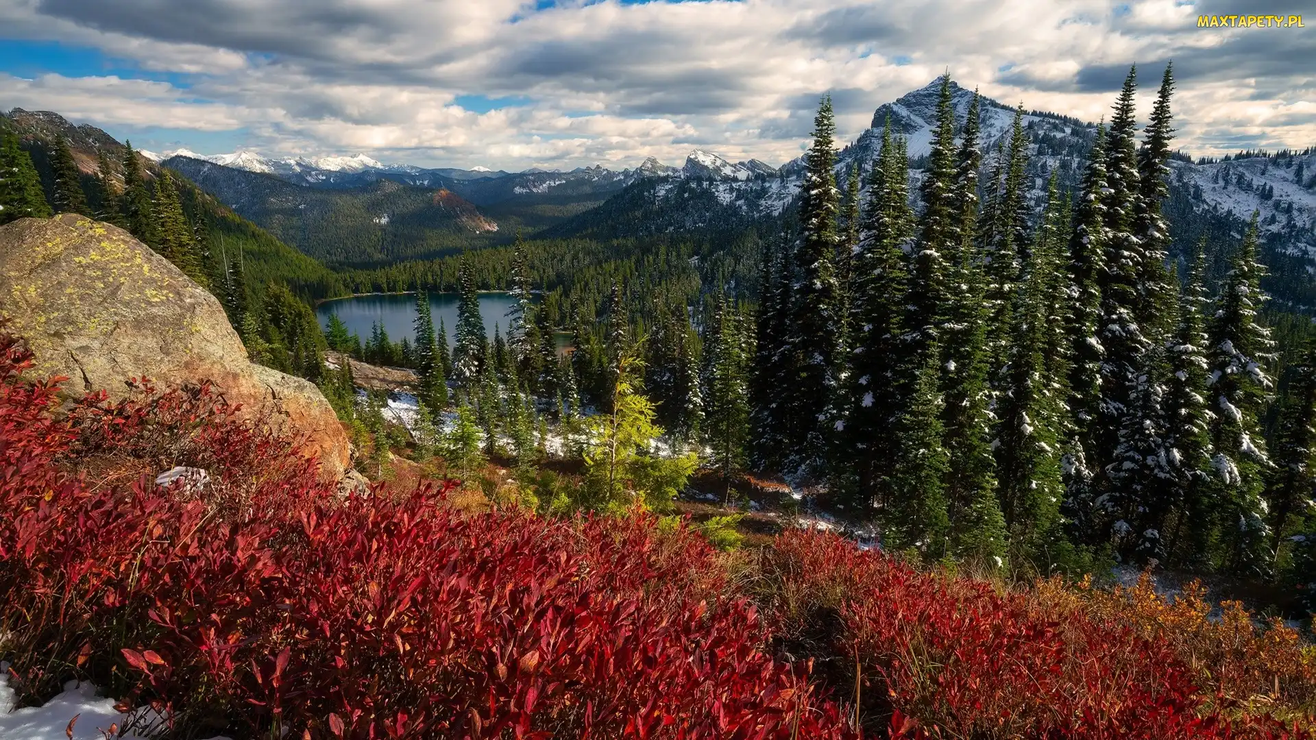 Stan Waszyngton, Lasy, Stany Zjednoczone, Góry, Drzewa, Park Narodowy Mount Rainier, Chmury, Jezioro