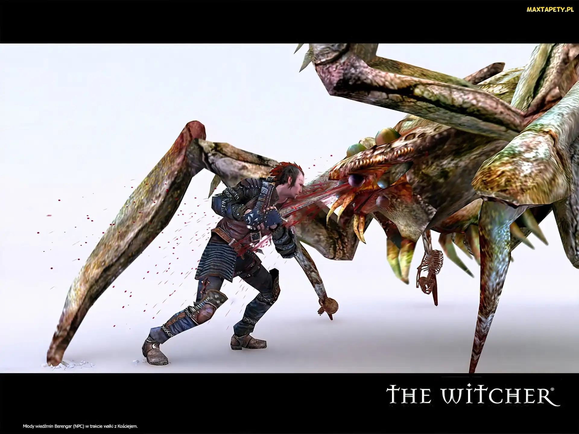 wojownik, The Witcher, miecz, mężczyzna, potwór