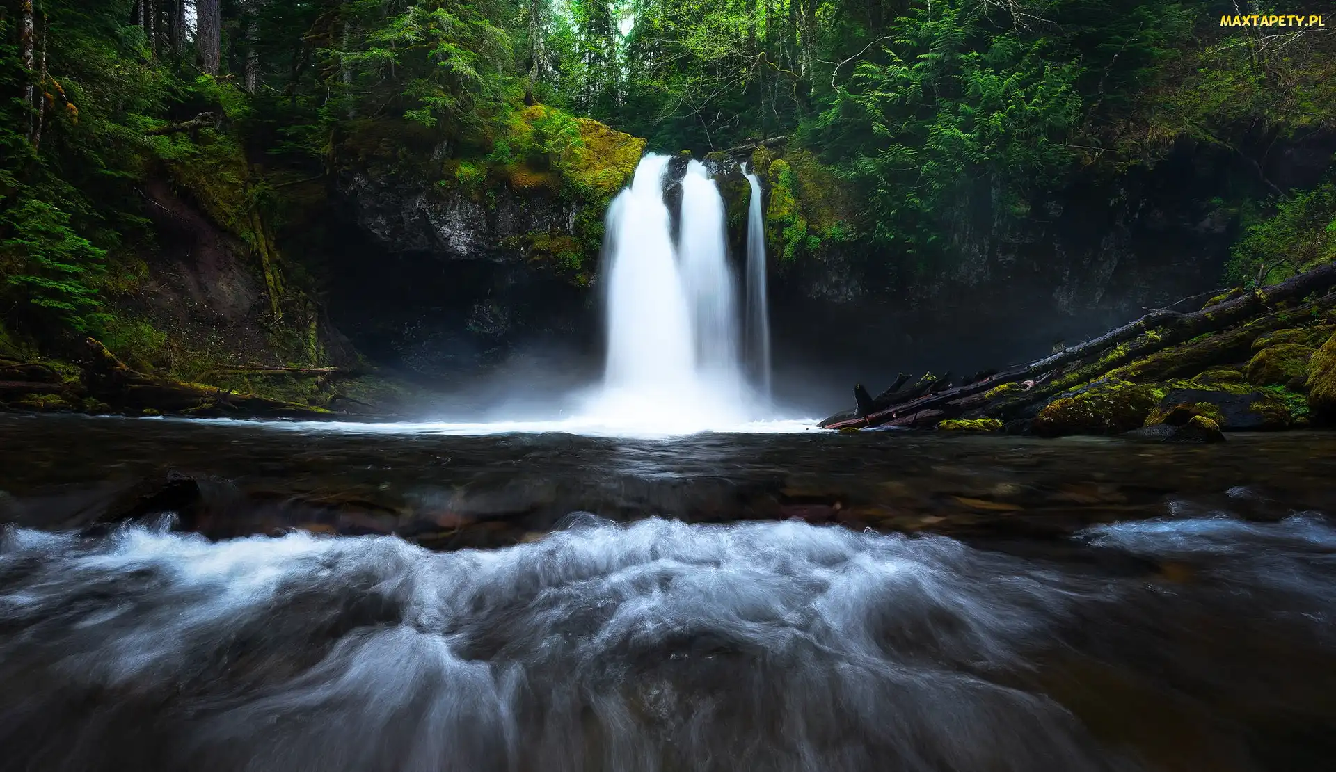 Drzewa, Rzeka, Waszyngton, Roślinność, Iron Creek Falls, Stany Zjednoczone, Wodospad