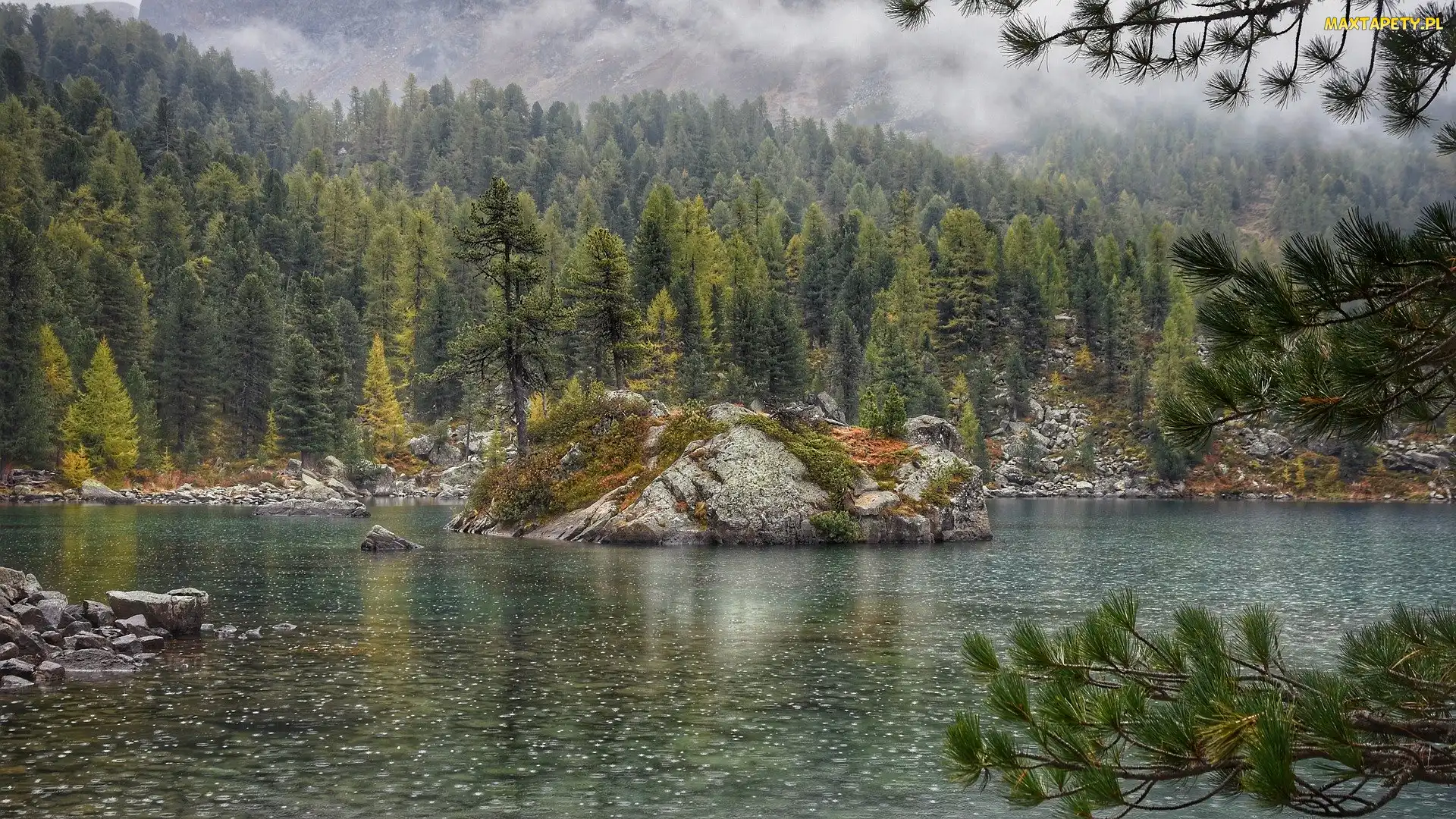 Kanton Berno, Las, Skała, Szwajcaria, Drzewa, Jezioro Bergsee, Wysepka