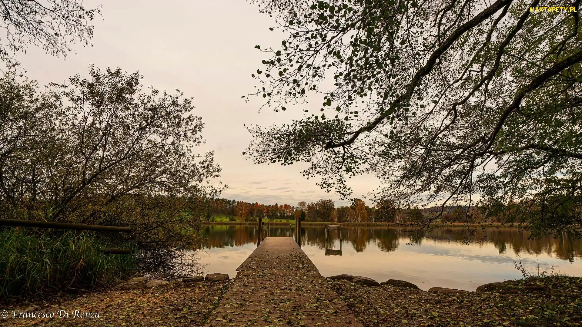 Kanton Zurych, Liście, Jezioro Katzensee, Szwajcaria, Pomost, Jesień, Drzewa