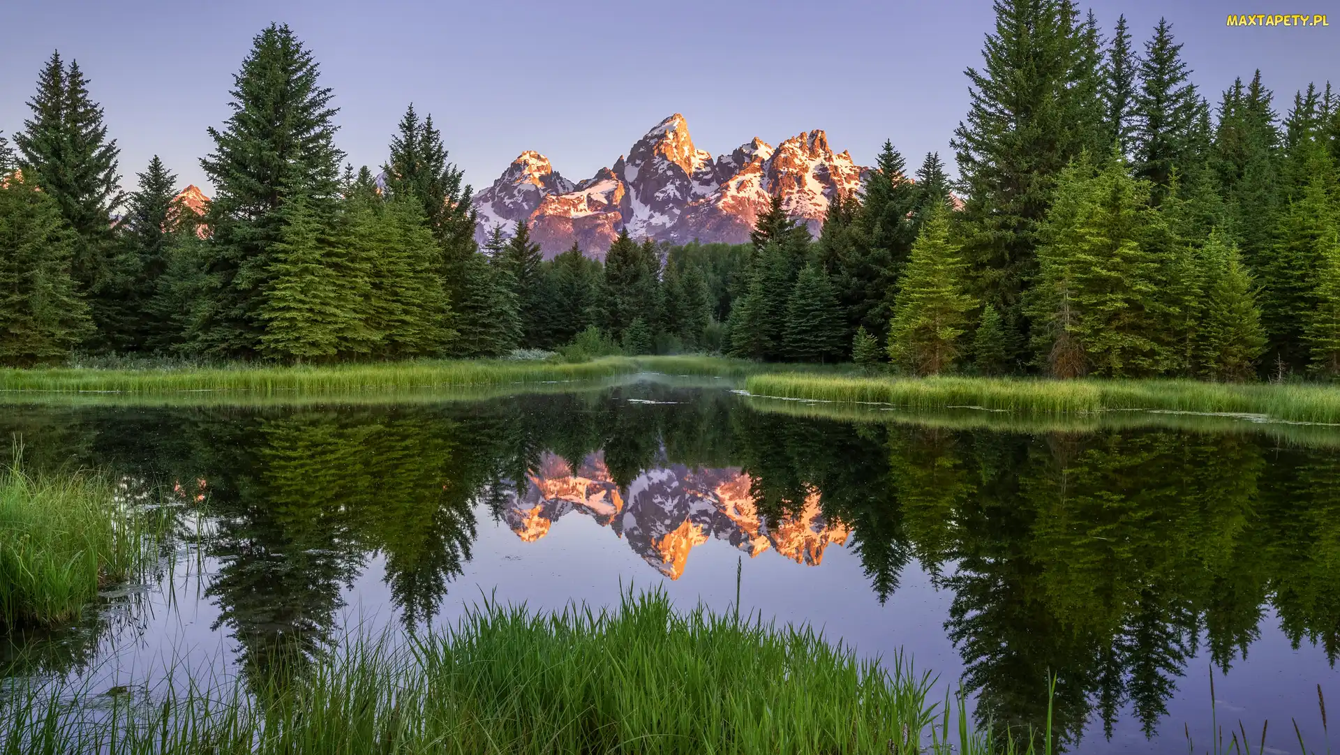 Park Narodowy Grand Teton, Stan Wyoming, Odbicie, Stany Zjednoczone, Rzeka Snake River, Drzewa, Góry, Teton Range, Las