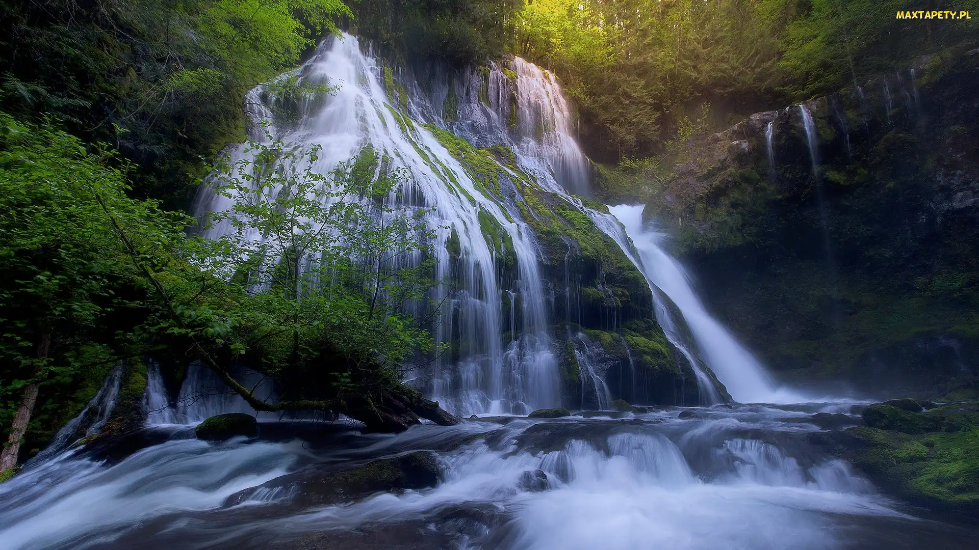 Wodospad Panther Creek Falls, Skały, Stan Waszyngton, Stany Zjednoczone, Las, Drzewa