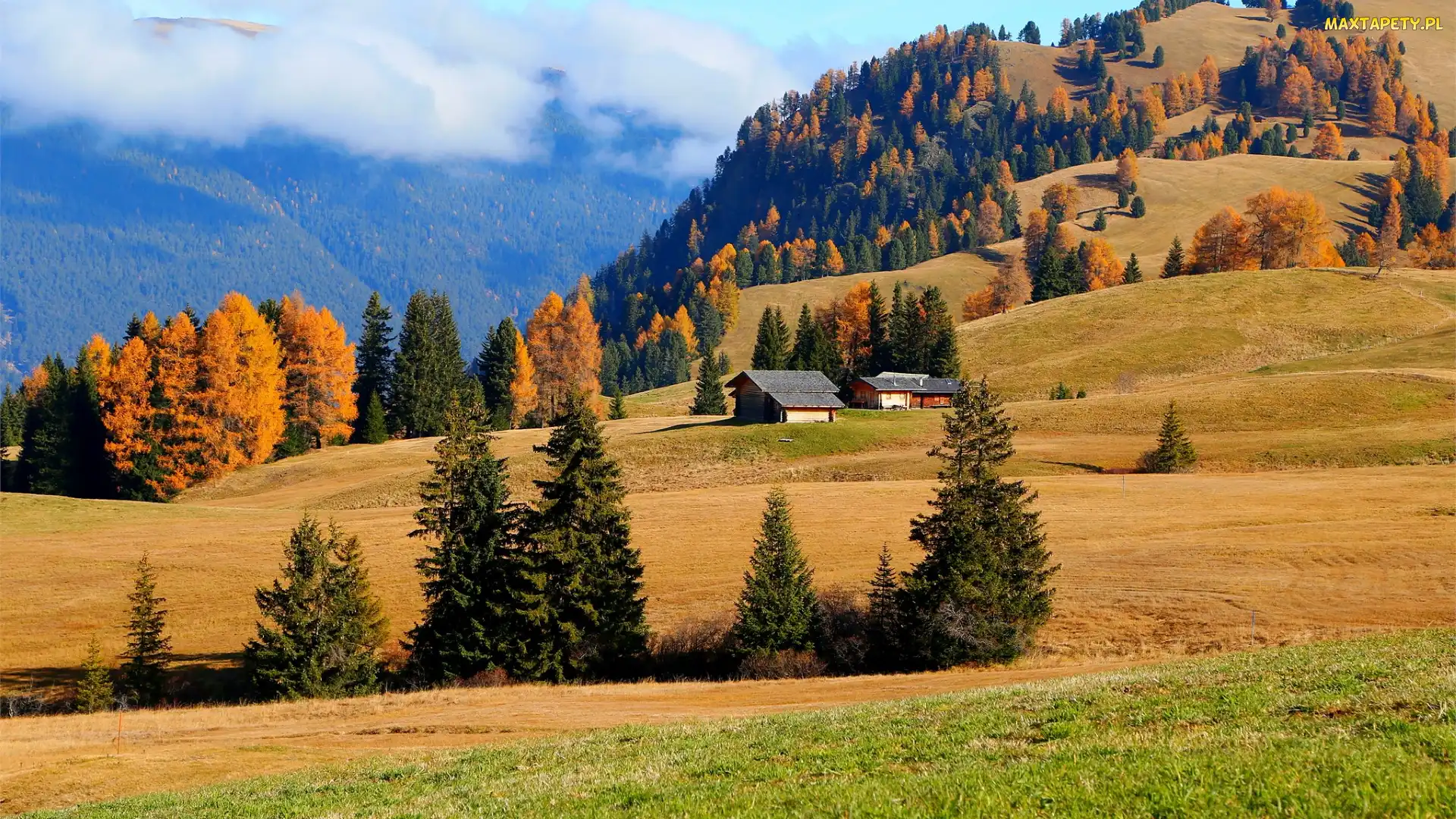 Wzgórza, Domy, Płaskowyż Seiser Alm, Drzewa, Region Trydent-Górna Adyga, Pola, Włochy, Jesień