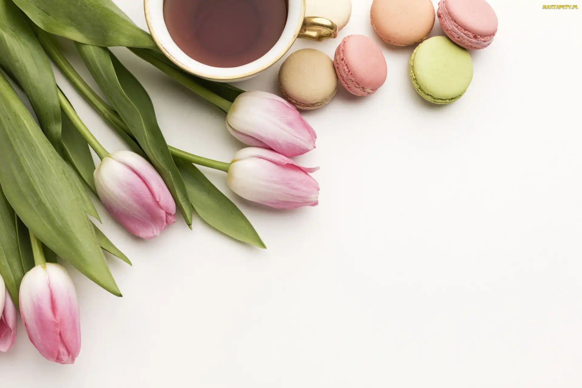 Tulipany, Ciasteczka, Kwiaty, Kawa, Białe, Filiżanka, Tło, Makaroniki