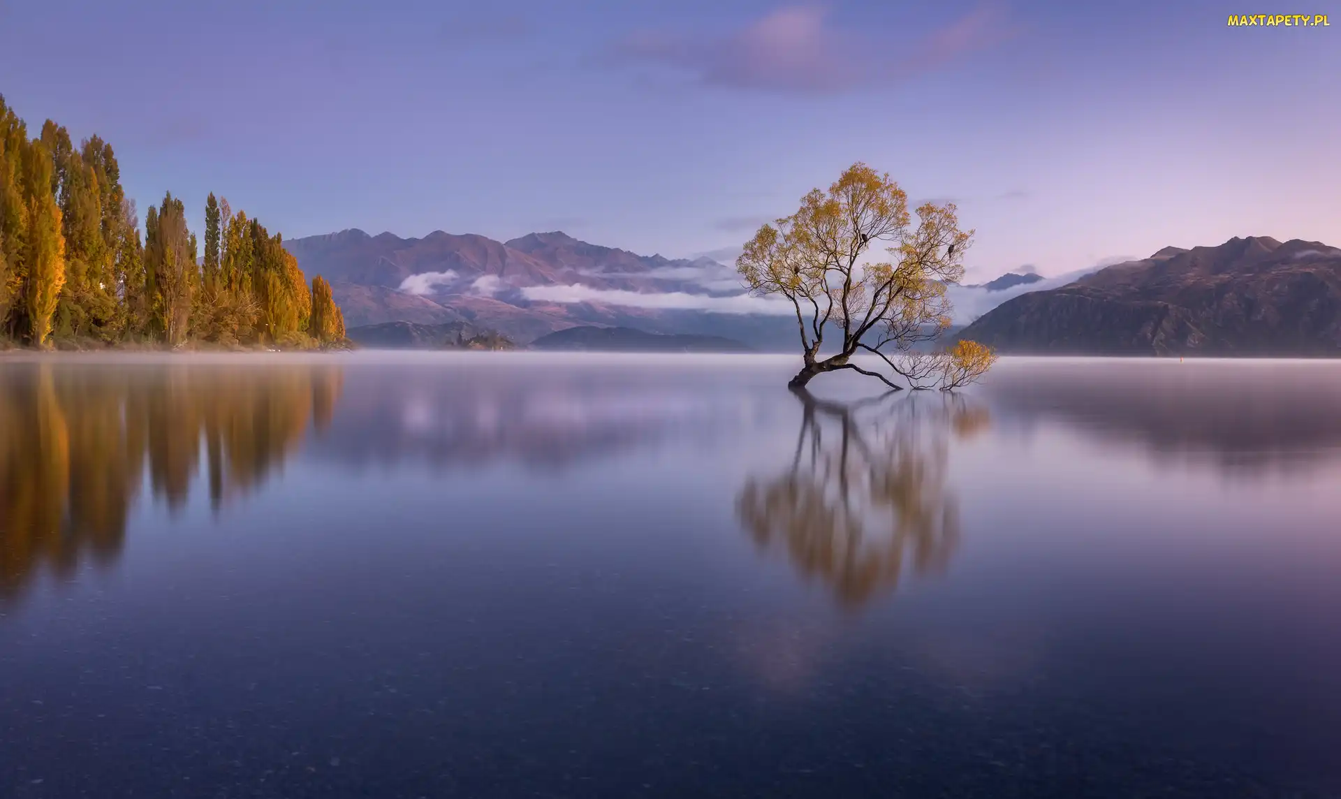 Jezioro Wanaka, Drzewo, Nowa Zelandia, Jesień, Odbicie, Góry