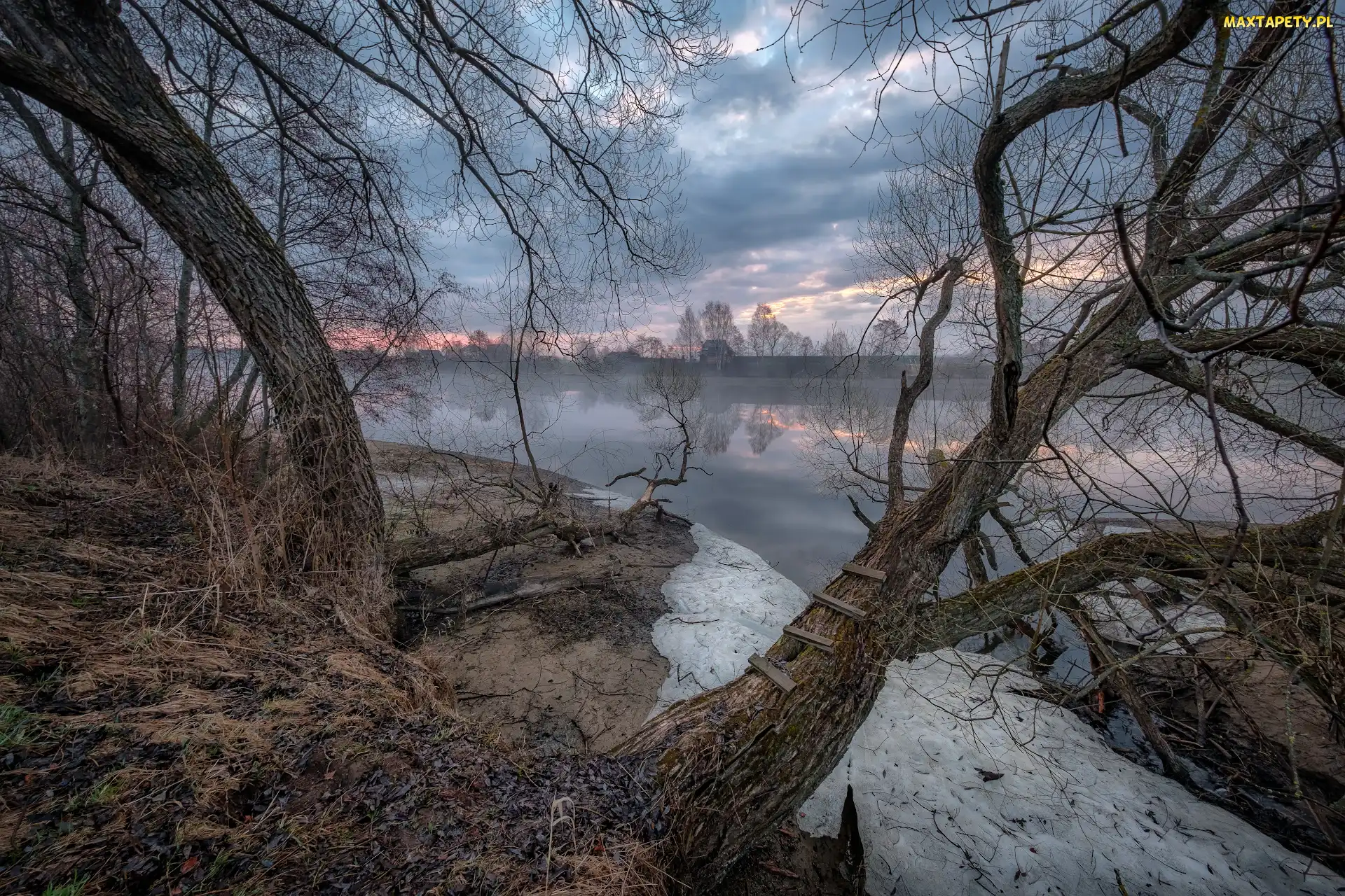 Łatgalia, Drzewa, Domy, Łotwa, Bezlistne, Rzeka Dubna, Mgła