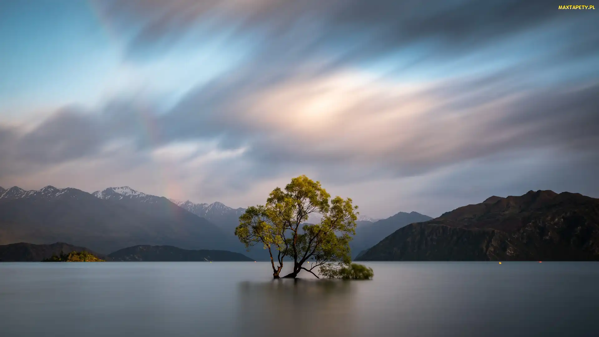 Nowa Zelandia, Jezioro Wanaka, Drzewo, Góry
