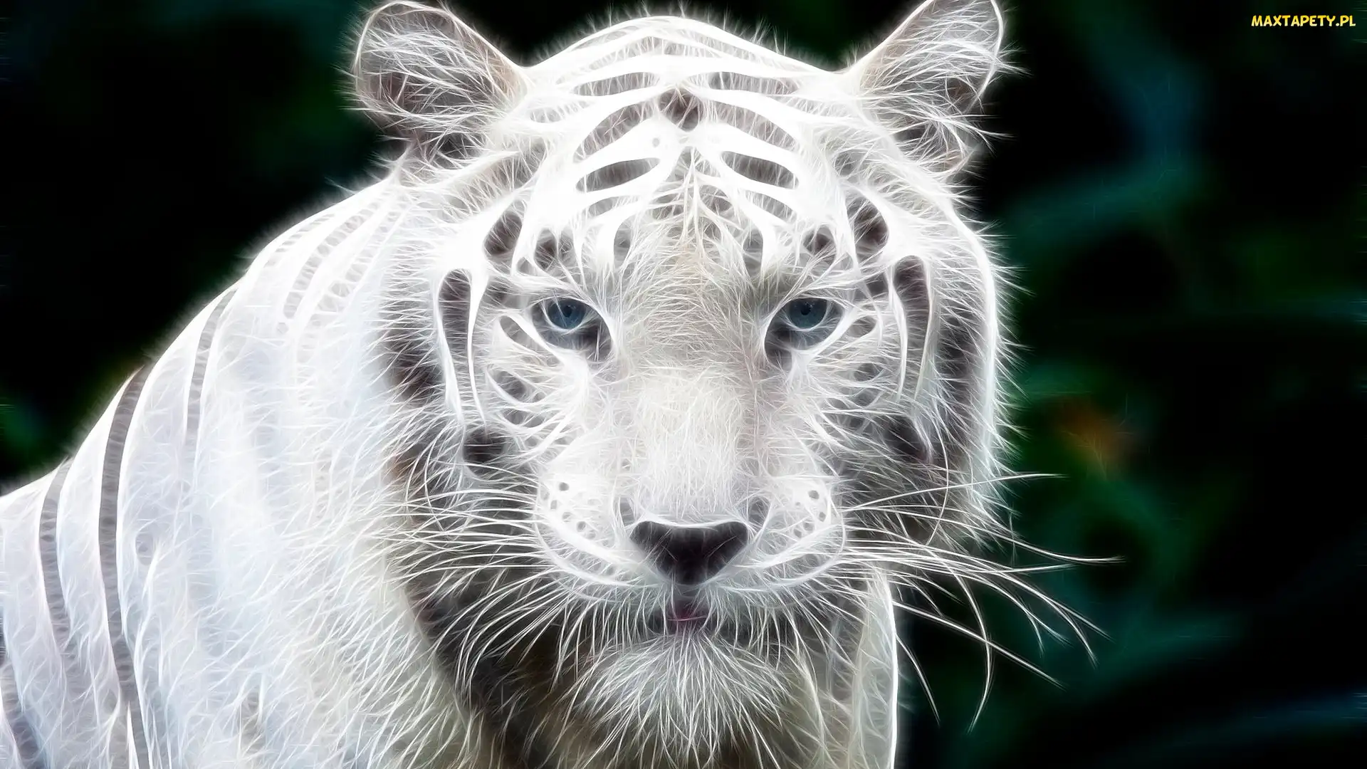 Fractalius, Głowa, Biały, Tygrys