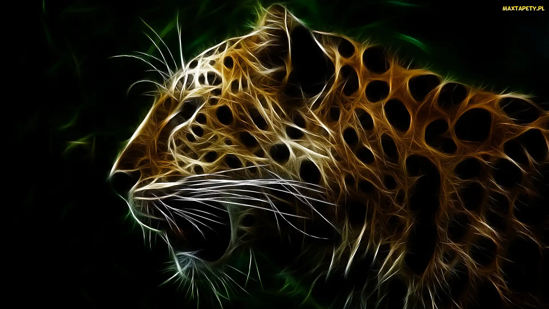 Fractalius, Grafika, Tygrys, Profil