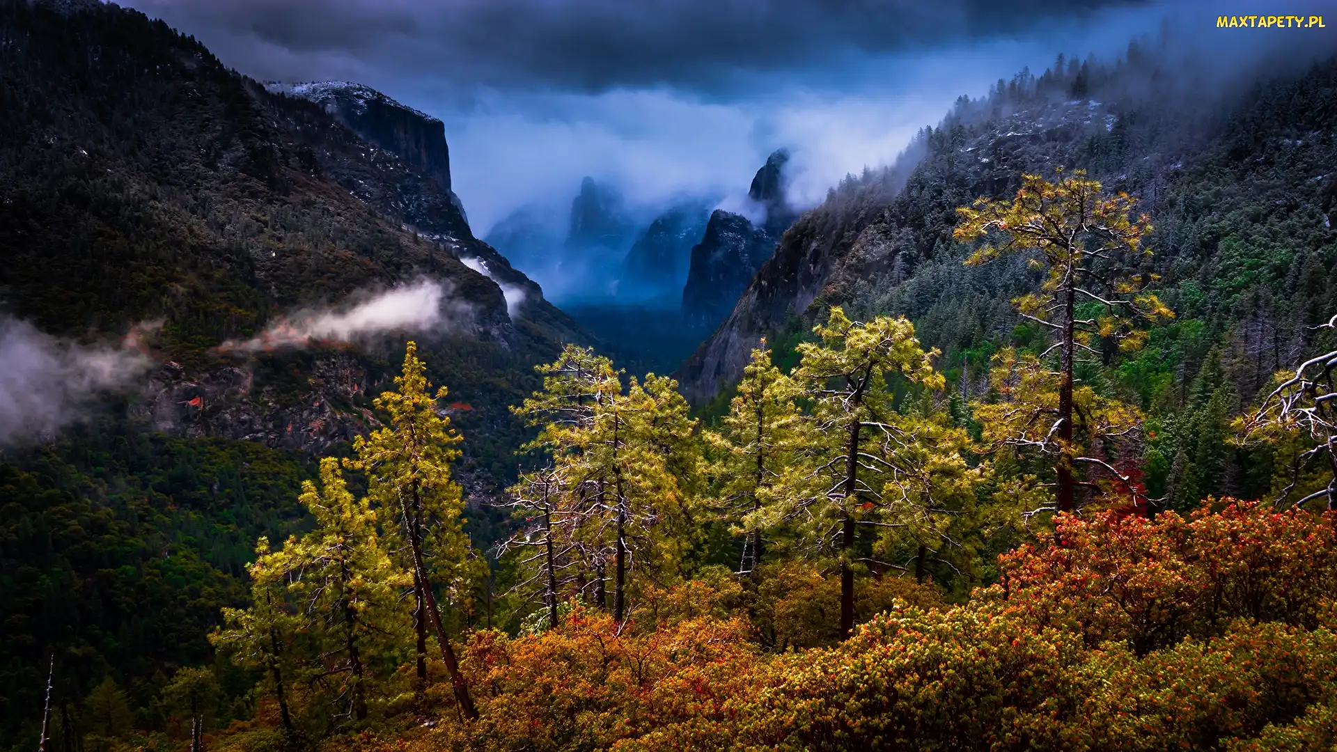 Góry, Drzewa, Park Narodowy Yosemite, Las, Stan Kalifornia, Sierra Nevada, Stany Zjednoczone, Chmury