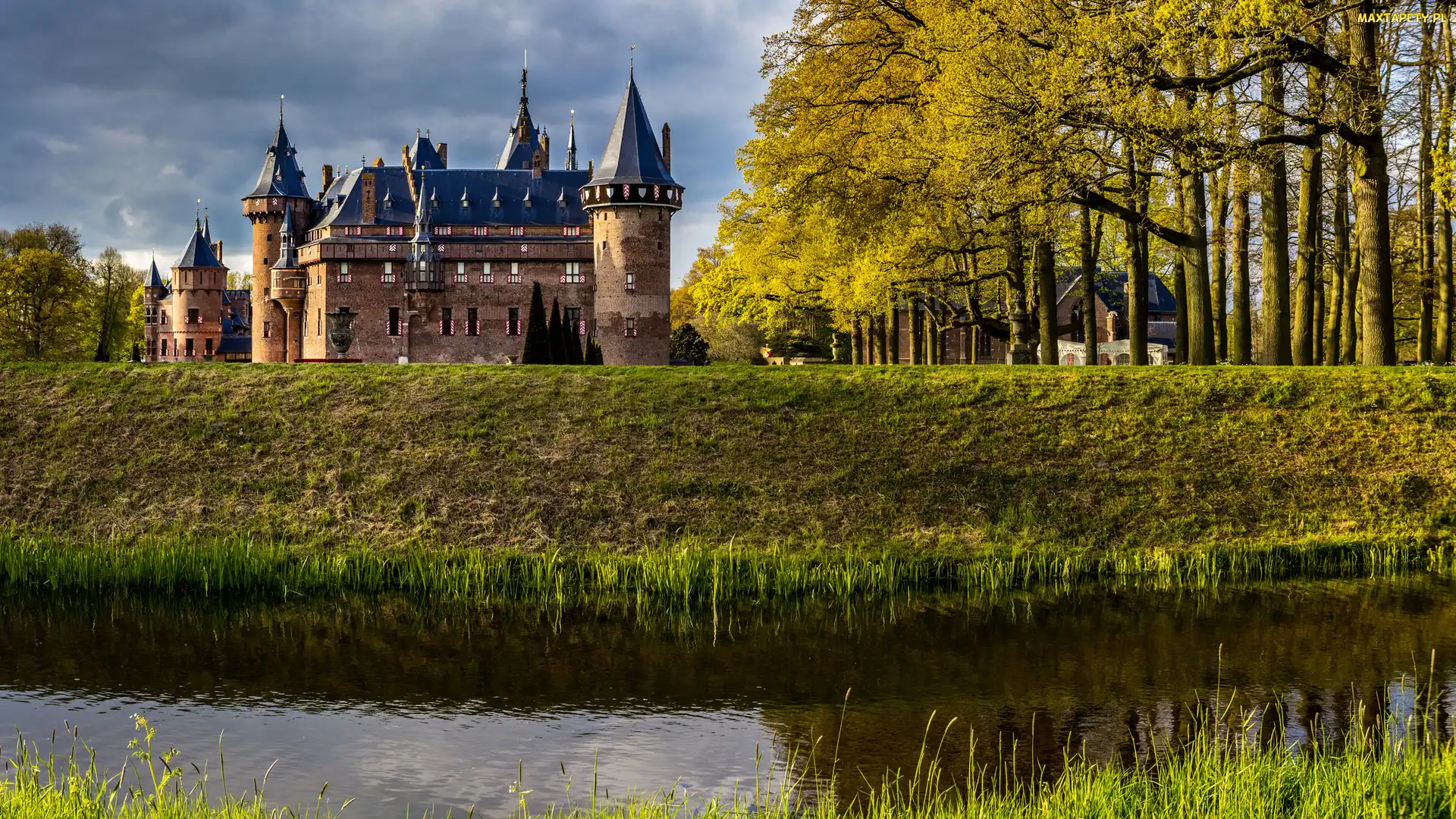 Holandia, Gmina Utrecht, Park, Zamek De Haar, Drzewa, Haarzuilens
