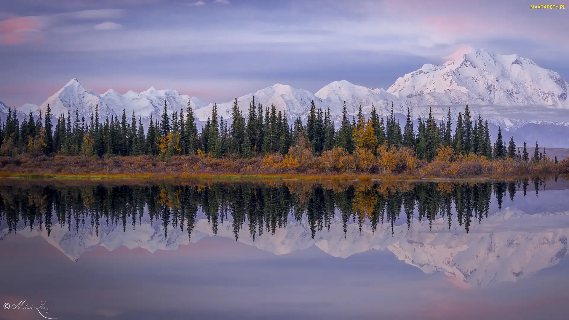 Stany Zjednoczone, Rzeka, Las, Alaska, Kordyliery, Góry, Góra Denali, McKinley, Park Narodowy Denali, Drzewa