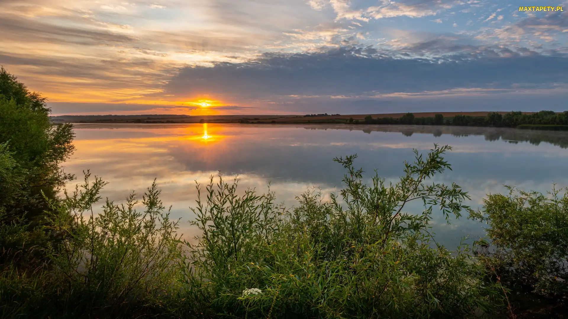 Rzeka, Wschód słońca, Krzewy