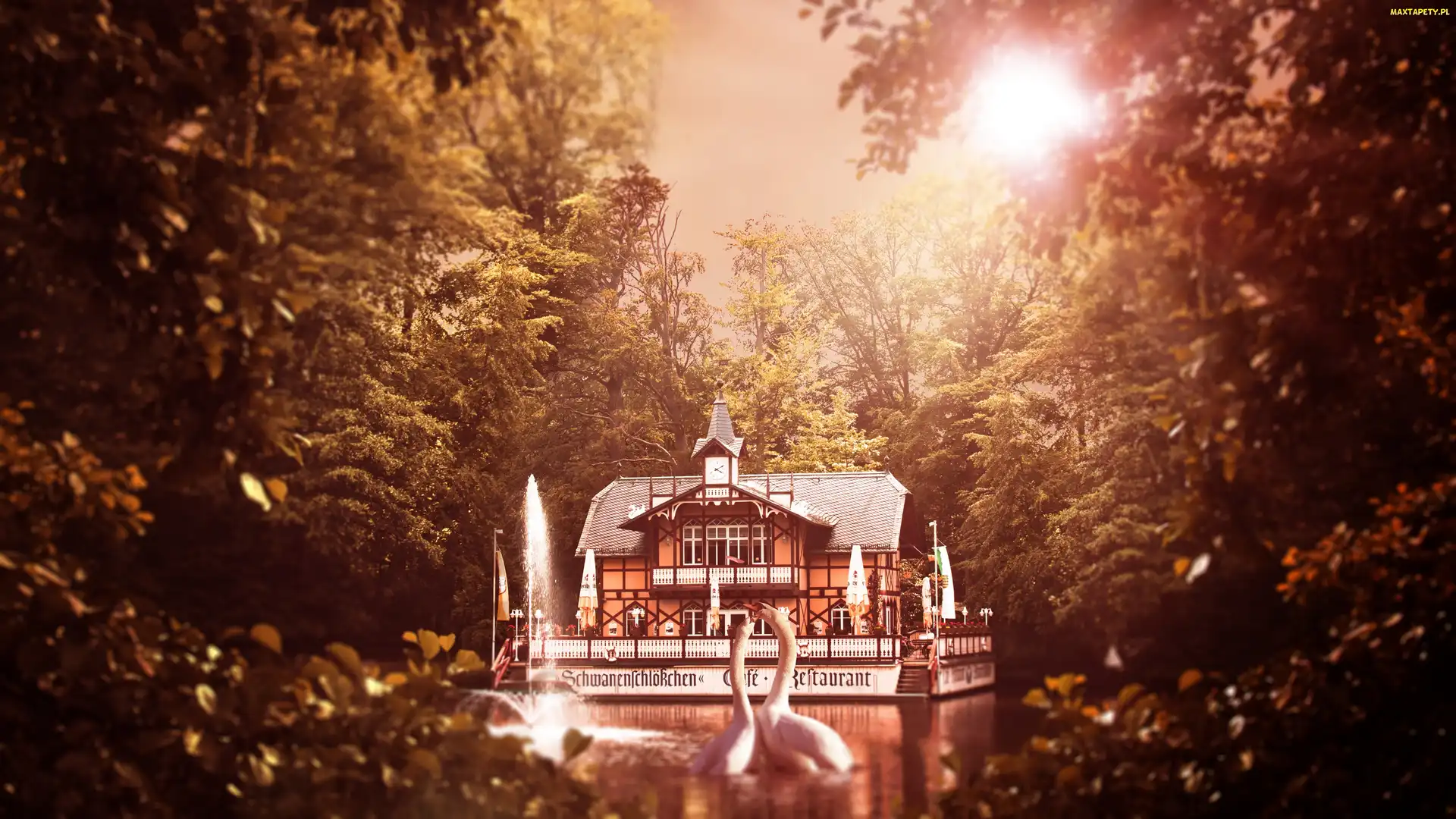 Drzewa, Łabędzie, Restauracja, Jezioro