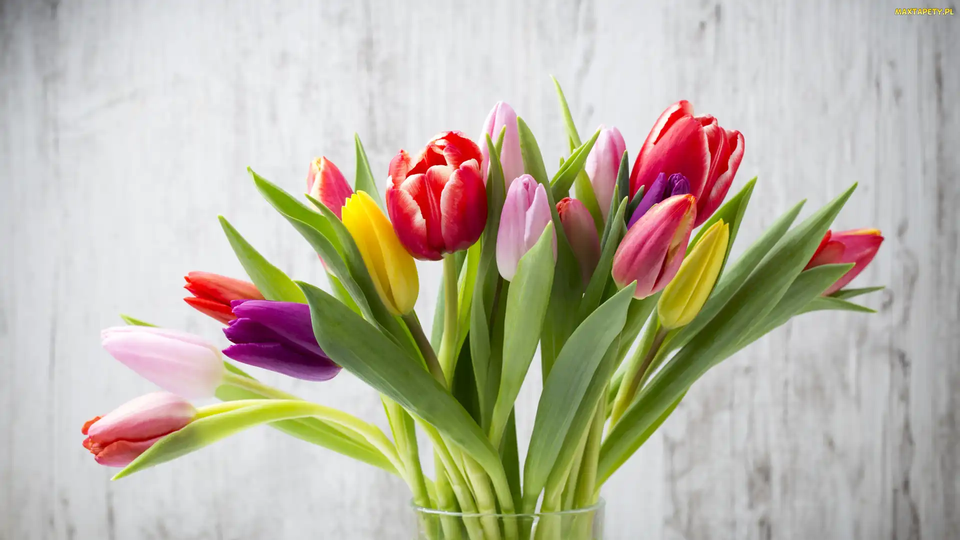 Wazon, Bukiet, Kolorowe, Tulipany