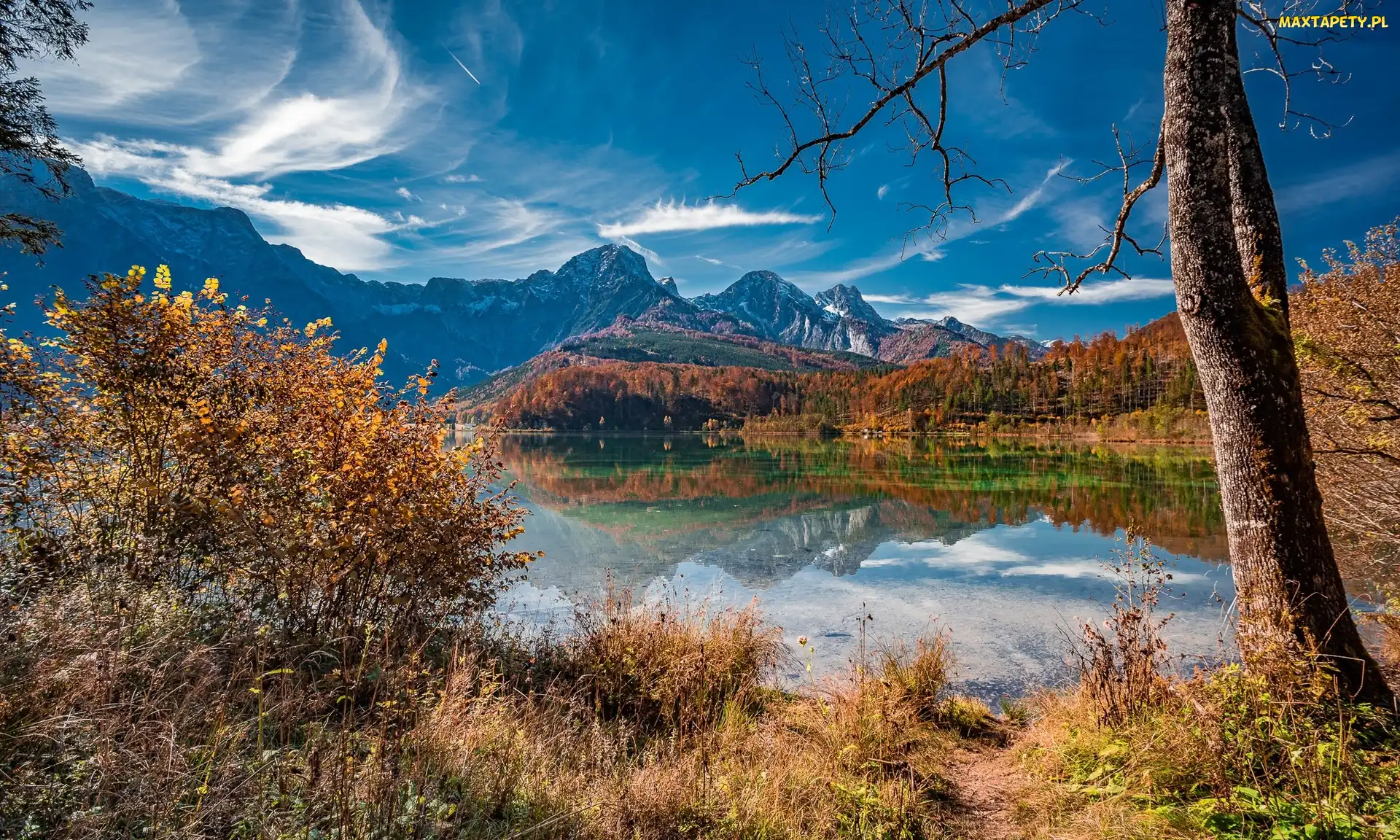 Drzewa, Jesień, Góry, Trawa, Jezioro Almsee, Austria, Alpy