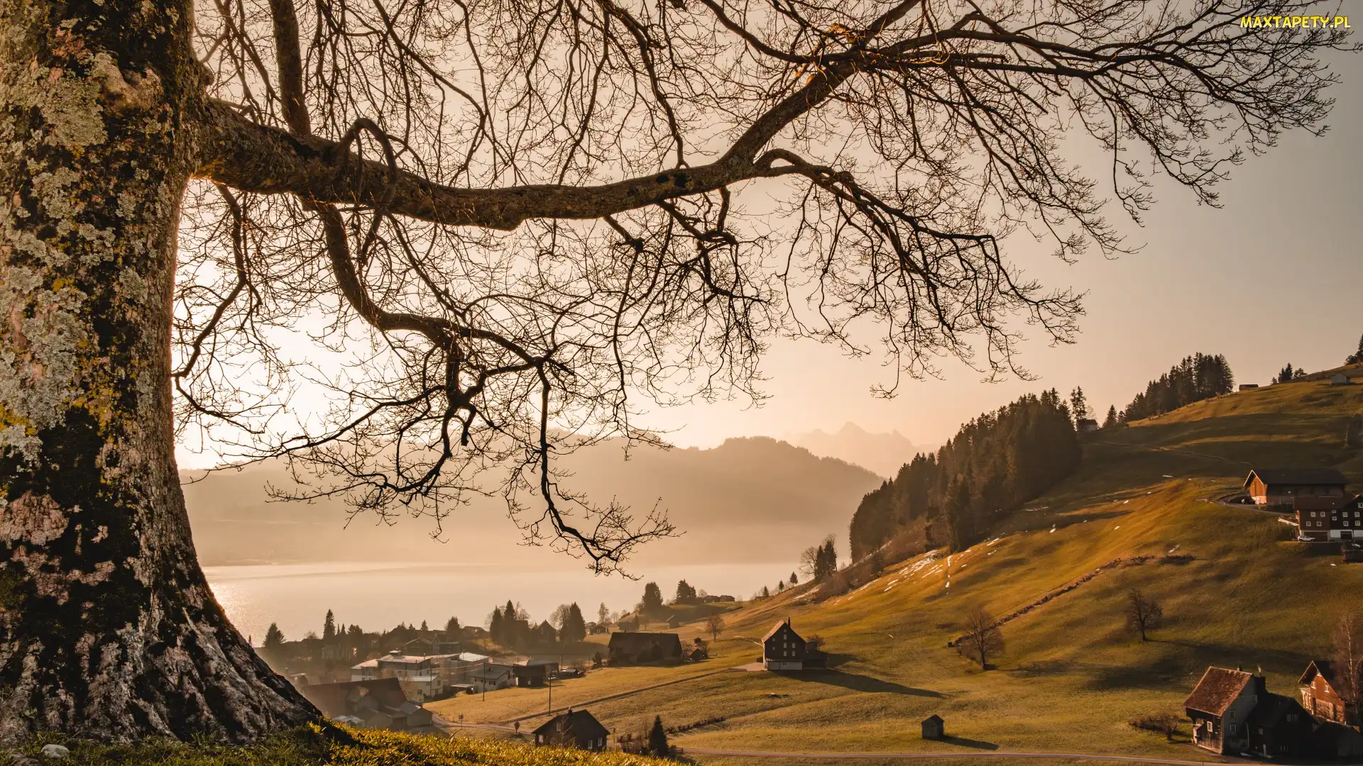 Góry, Jezioro, Kanton Schwyz, Drzewo, Domy, Szwajcaria, Einsiedeln