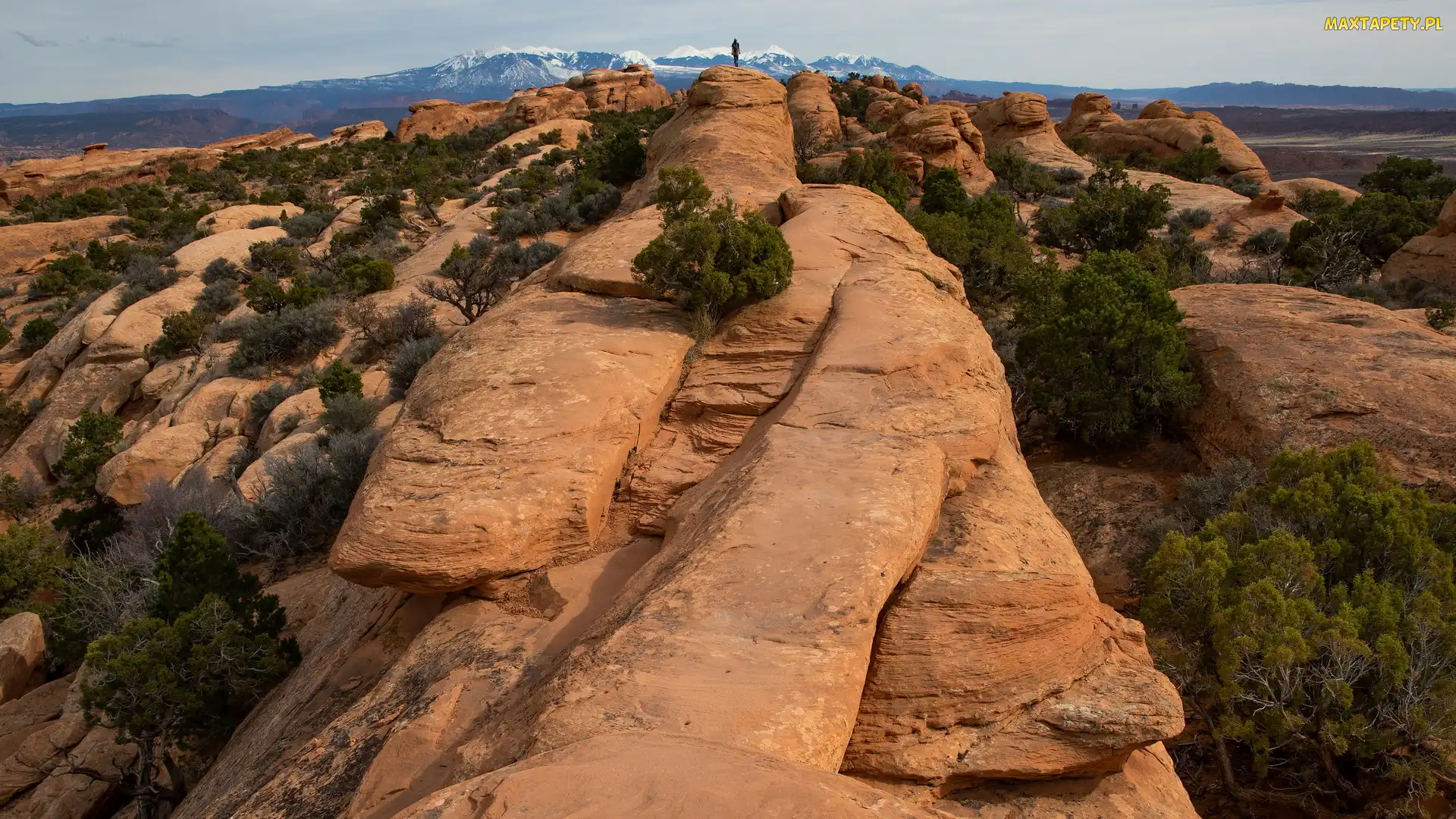 Park Narodowy Arches, Stany Zjednoczone, Stan Utah, La Sal Mountains, Skały