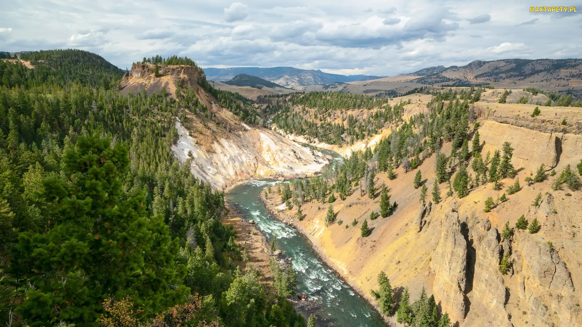 Las, Rzeka Yellowstone, Park Narodowy Yellowstone, Stany Zjednoczone, Chmury, Góry, Stan Wyoming, Drzewa