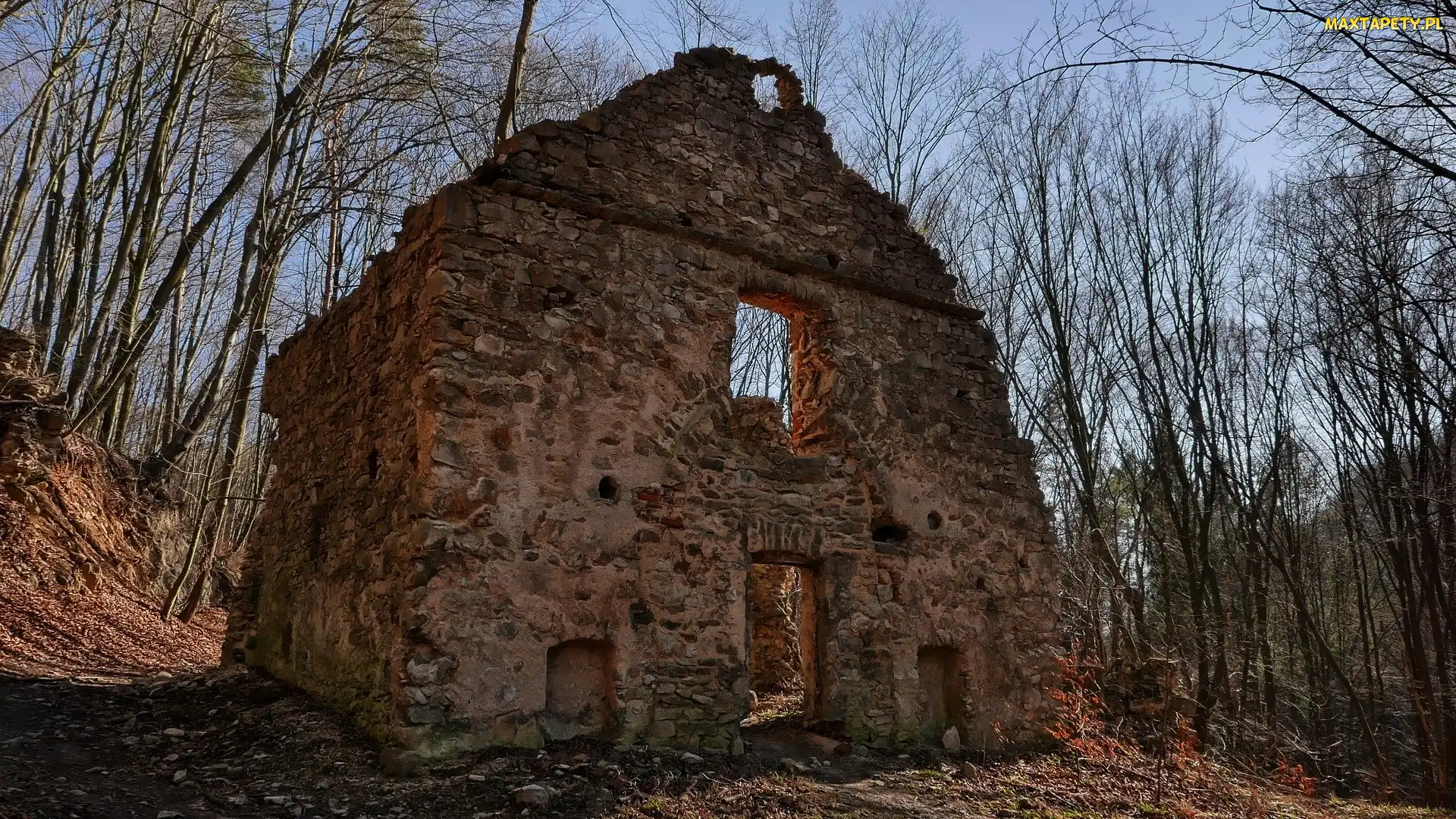Drzewa, Dolina Eliasza, Dom, Ruiny, Polska, Gmina Krzeszowice, Czerna, Województwo małopolskie, Stara pralnia