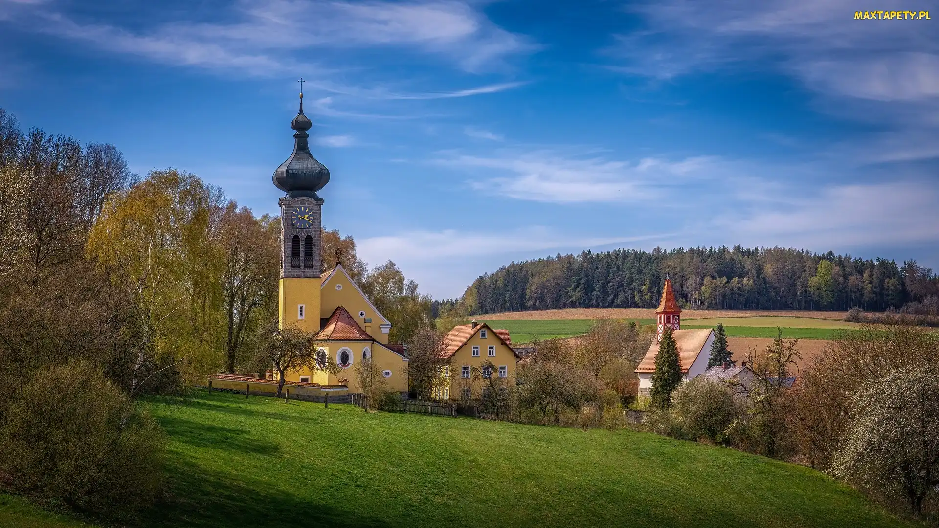 Kościół, Bawaria, Pola, Niemcy, Wilchenreuth, Drzewa, Św Ulricha, Domy, Lasy