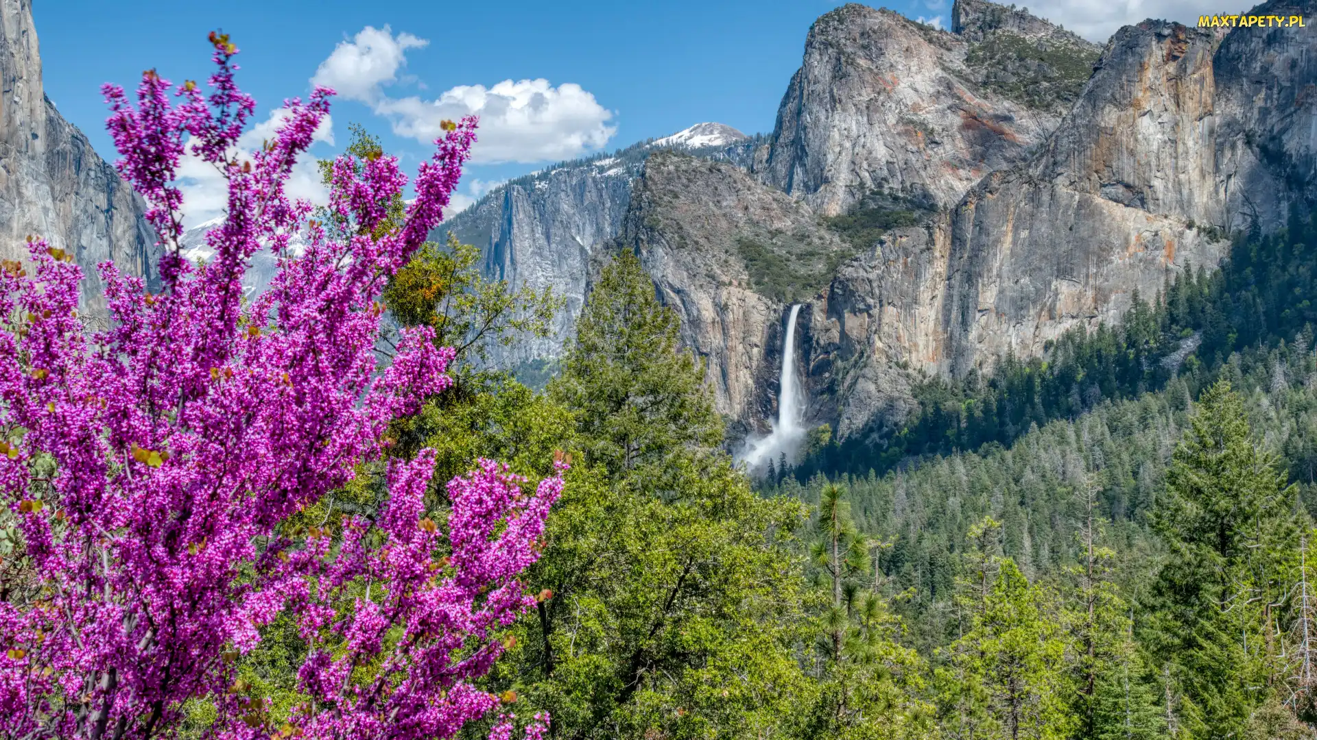 Góry, Bridalveil Fall, Drzewa, Wodospad, Kalifornia, Sierra Nevada, Stany Zjednoczone, Park Narodowy Yosemite