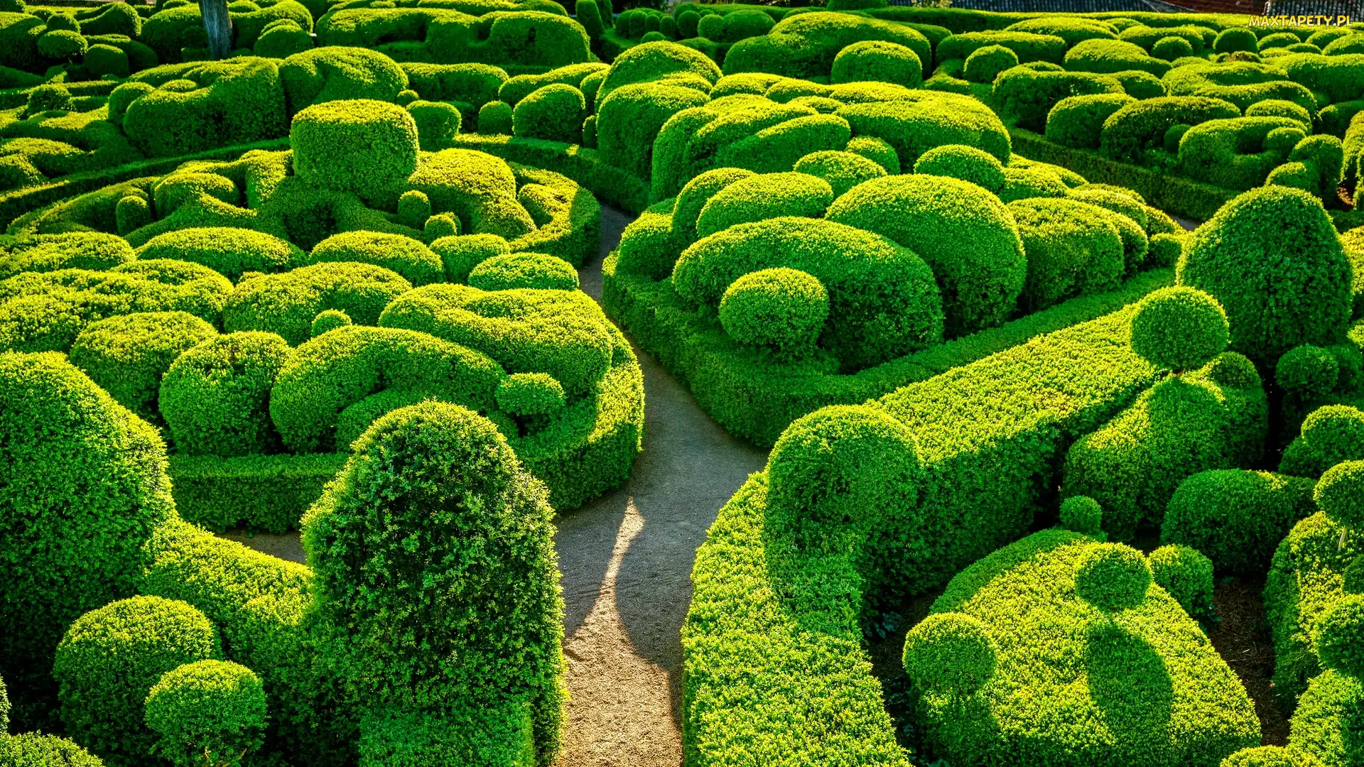 Krzewy, Marqueyssac, Klomby, Ogród, Departament Dordogne, Bukszpan, Francja, Vezac
